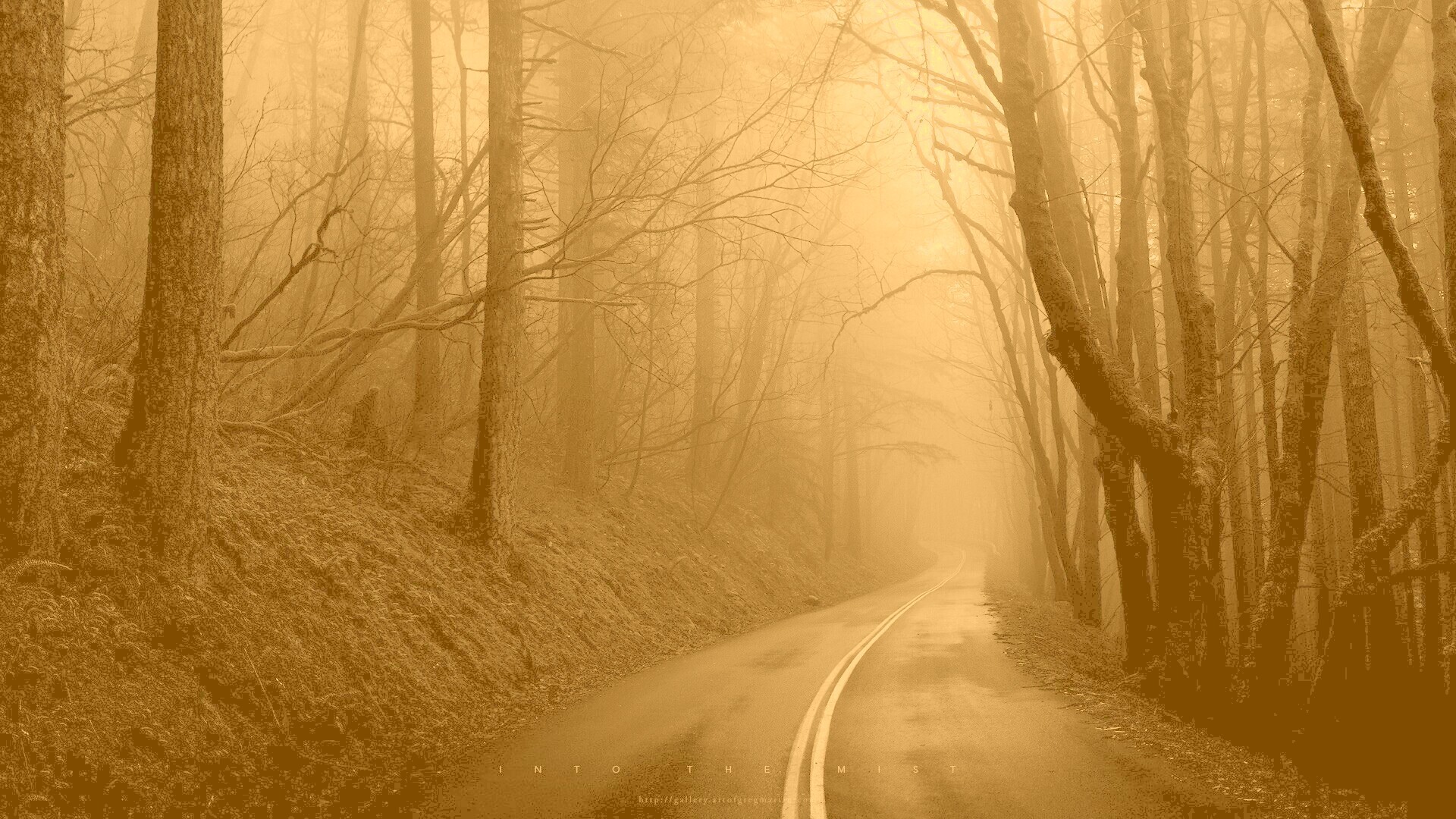 В туман обои