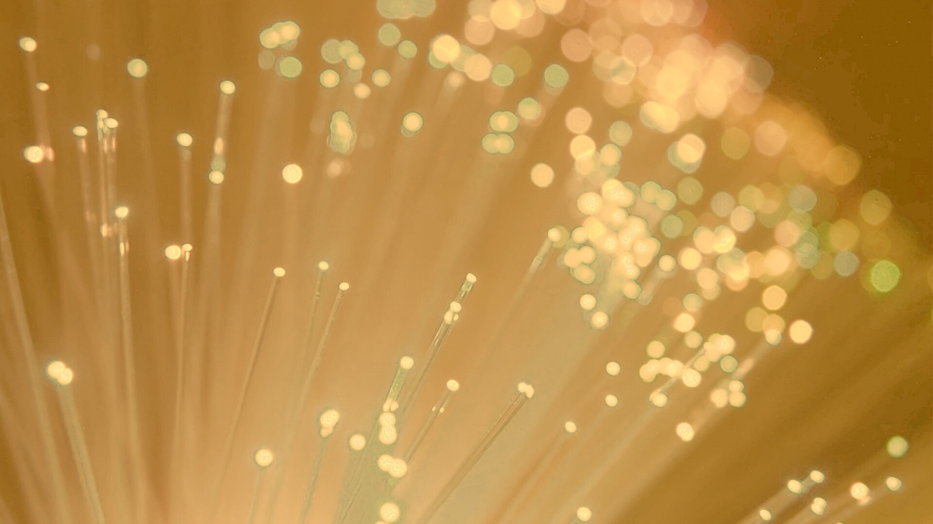 Огоньки на оптоволокне обои