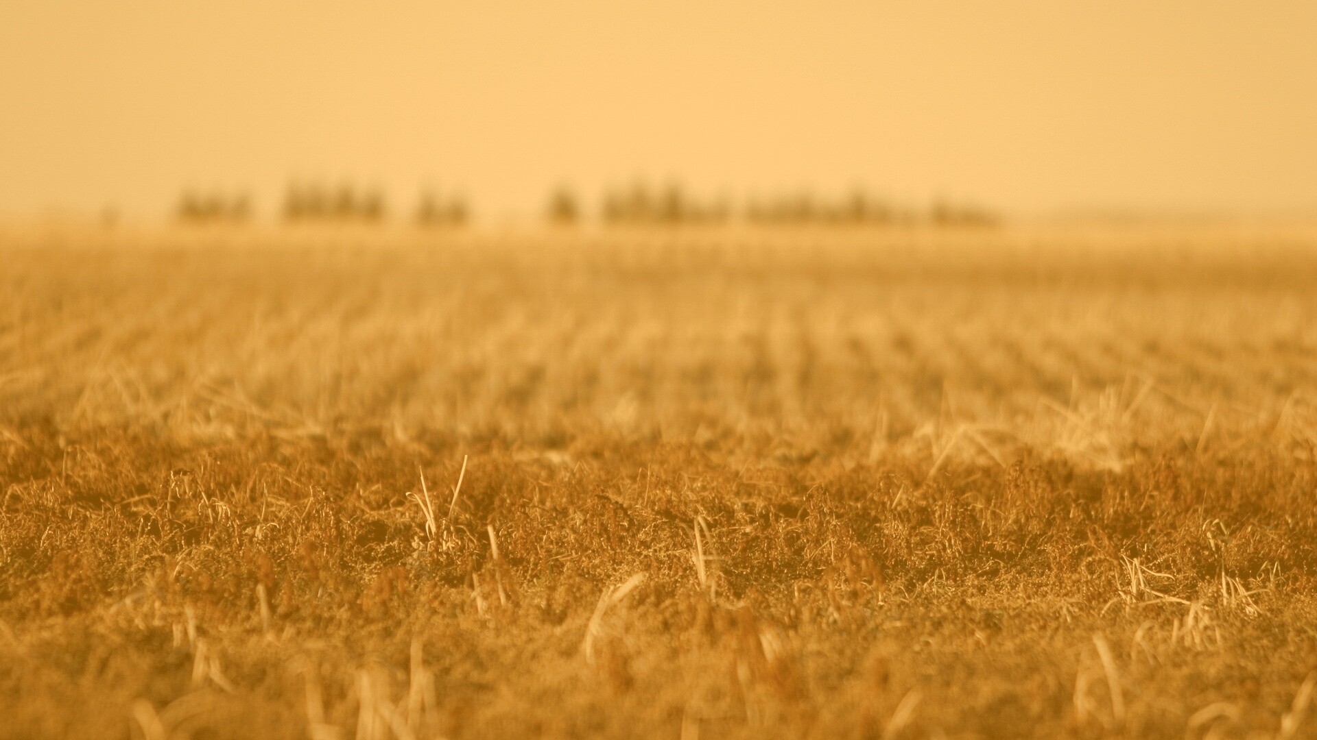 Поле перед вспашкой обои