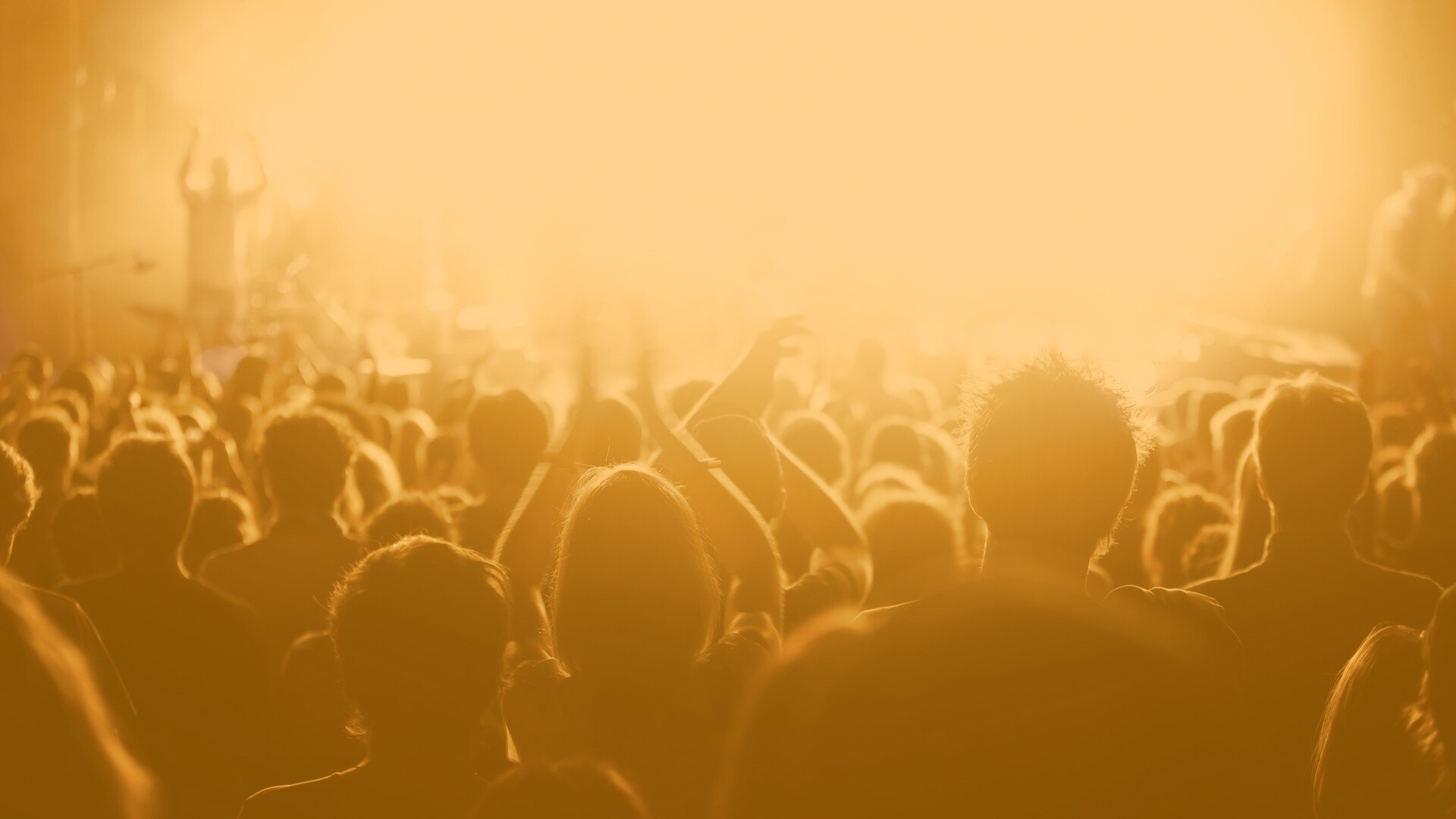 Люди на концерте обои