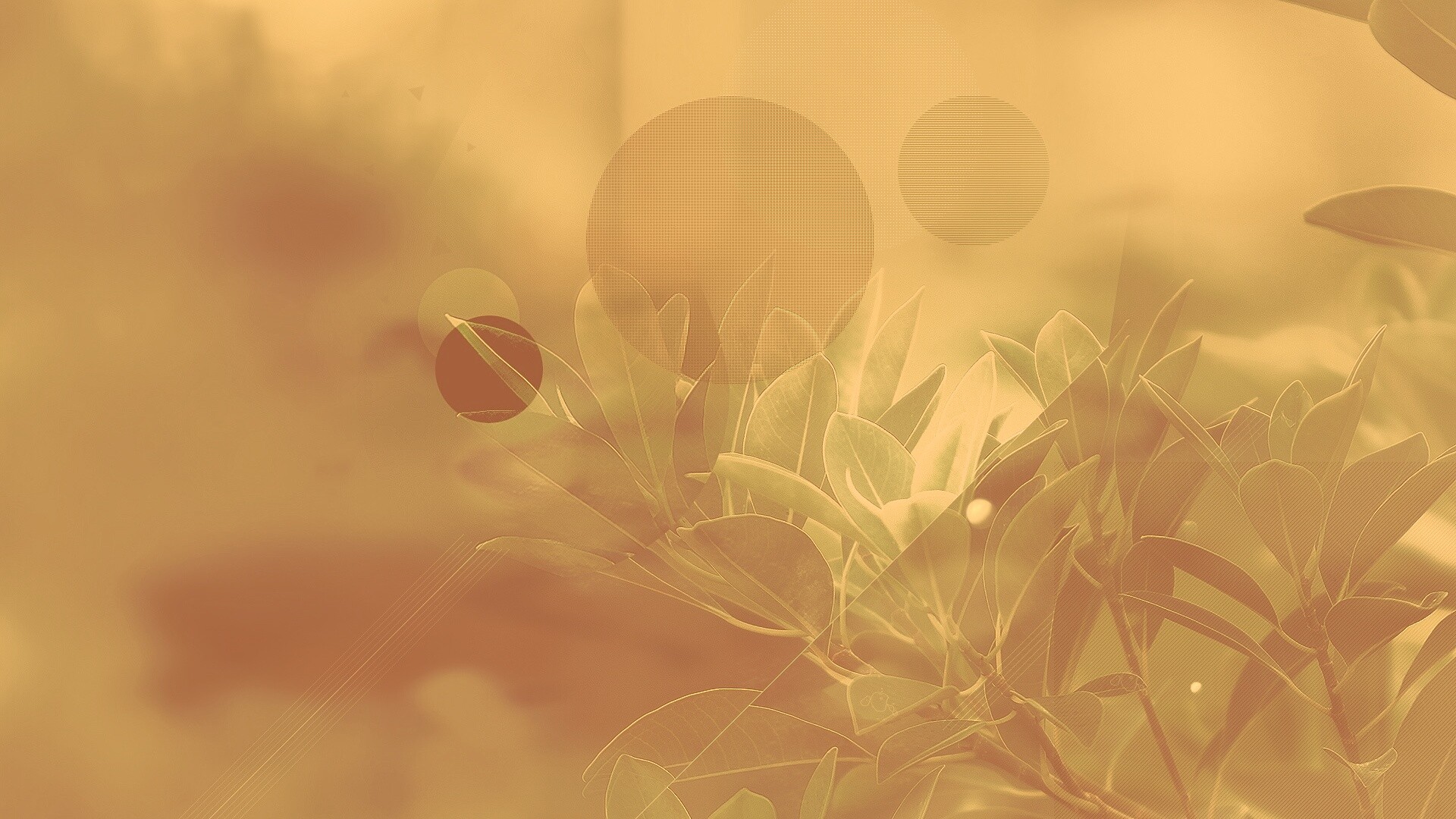 Синий фильтр с кргуами на фото листьев обои