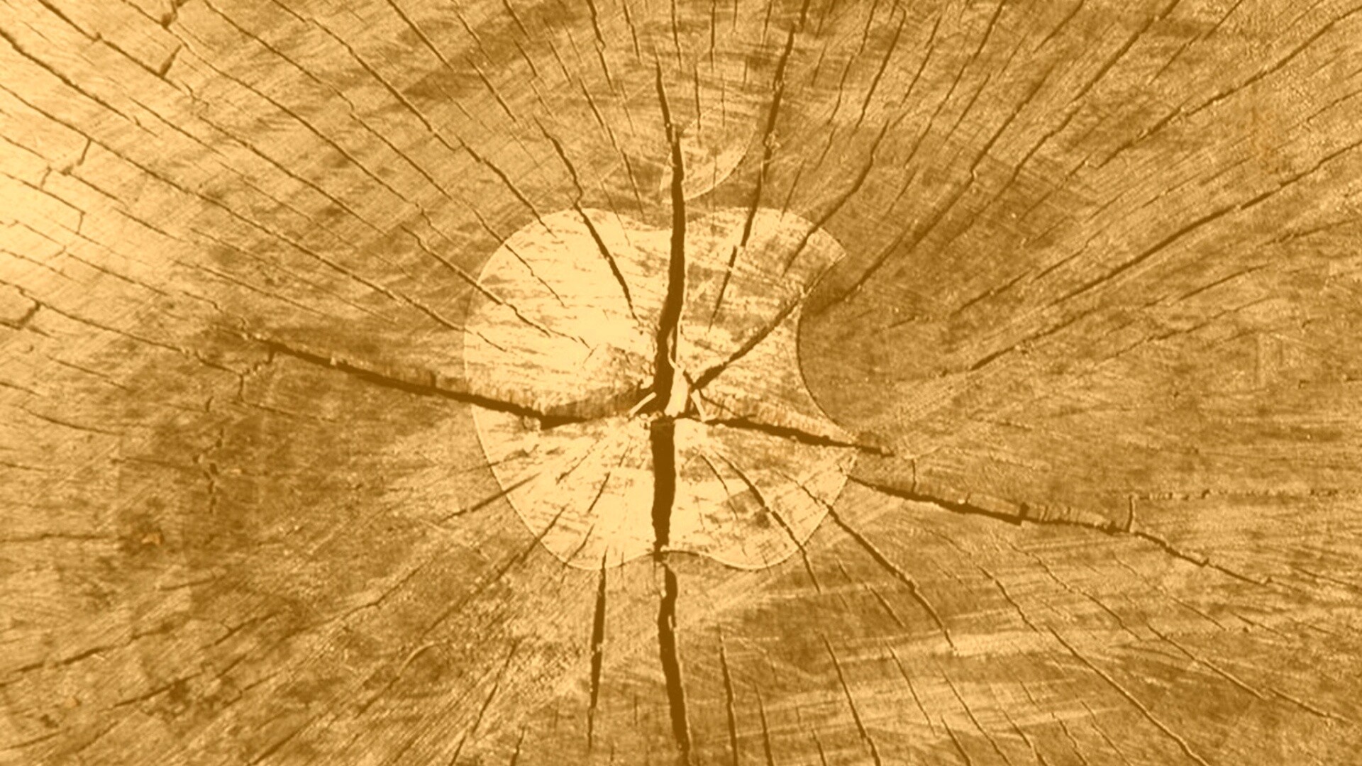 Логотип Apple на бревне обои