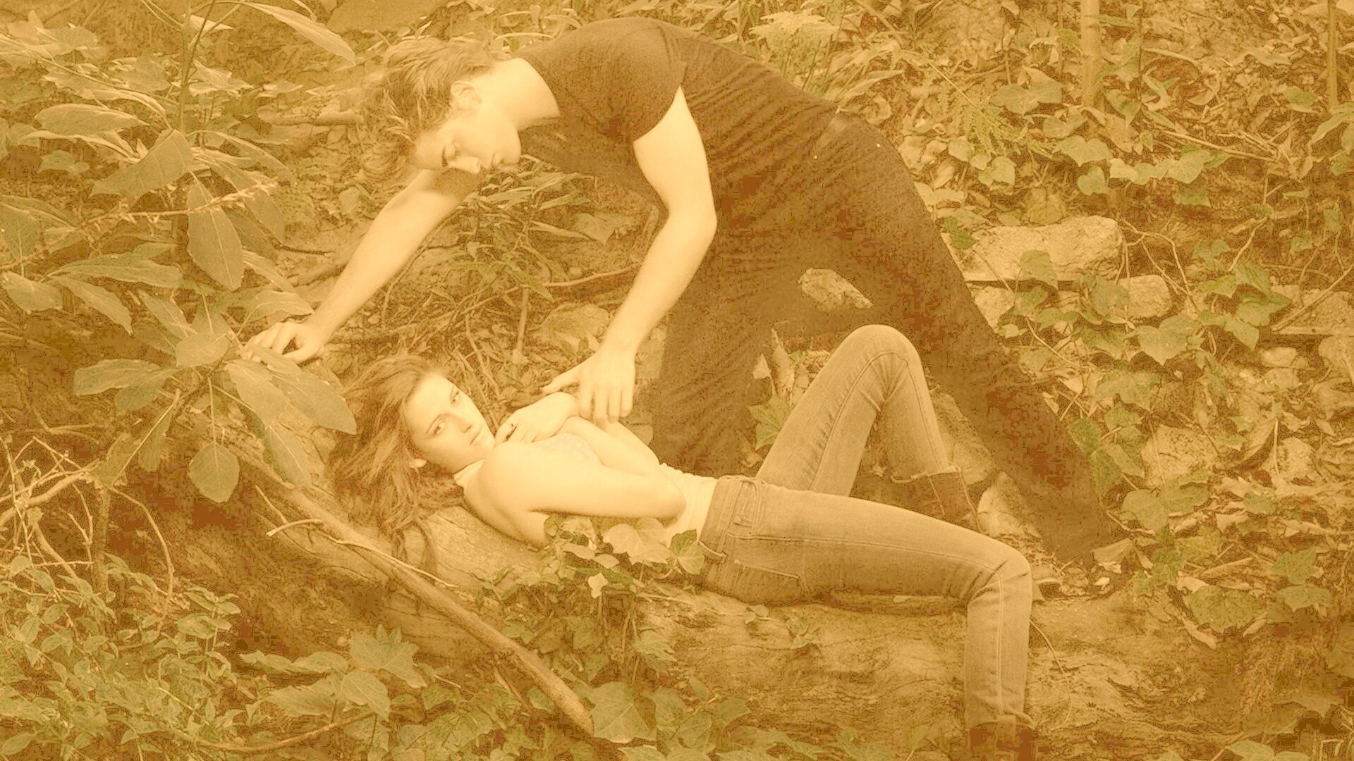 Эдвард и Белла в лесу обои