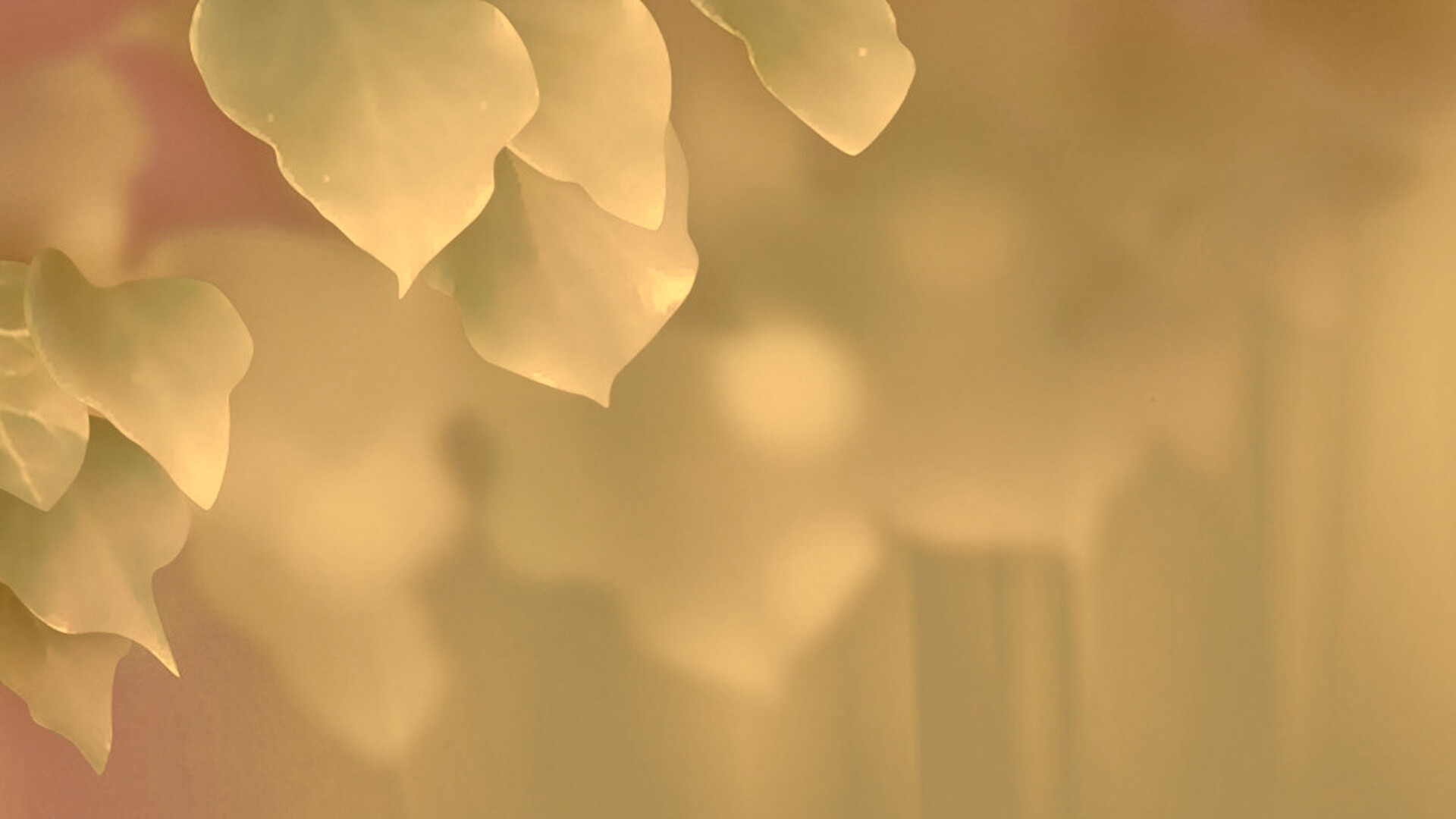 Синие листья обои