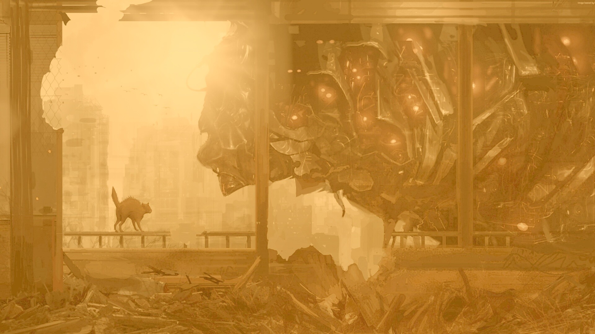 Кошкино удивление обои