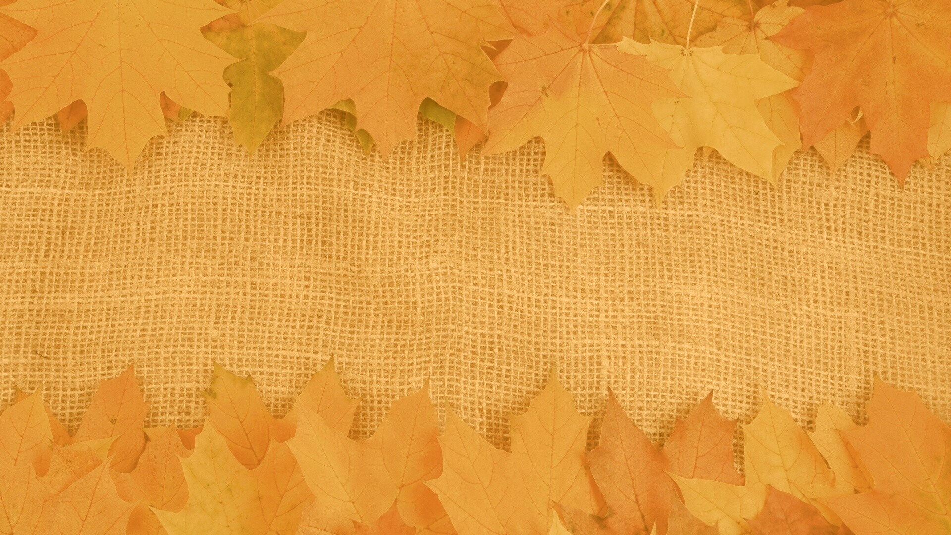 Желтые кленовые листья на холсте обои