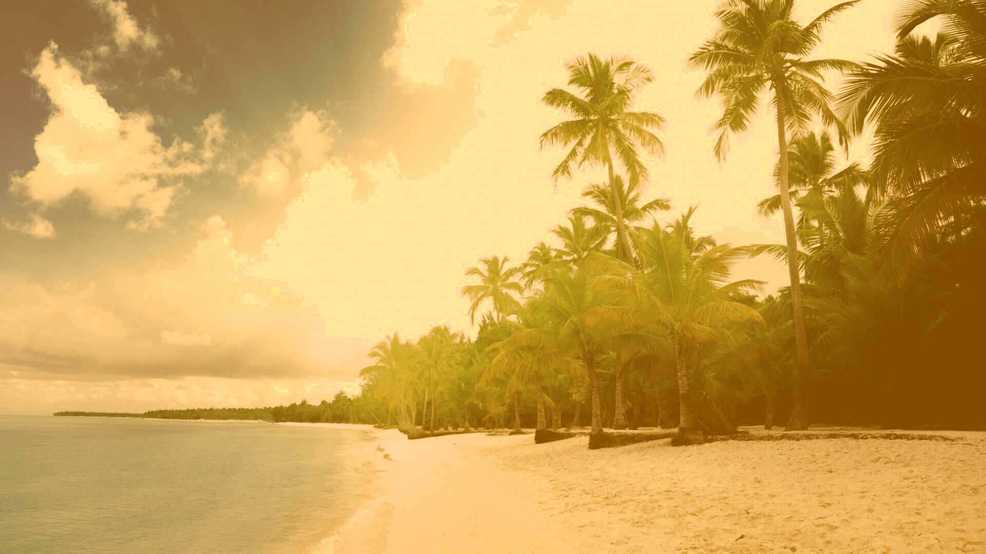 Тропическое побережье обои