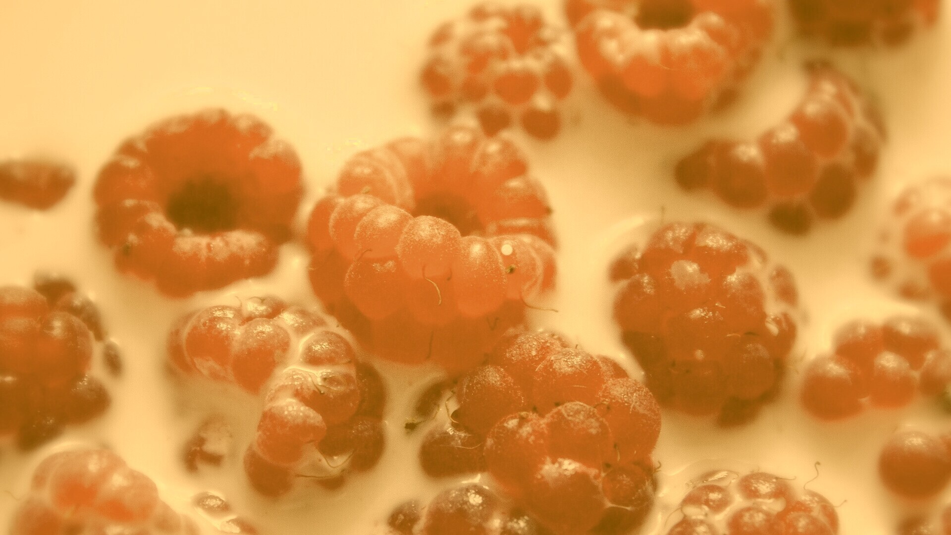 Малина в молоке обои