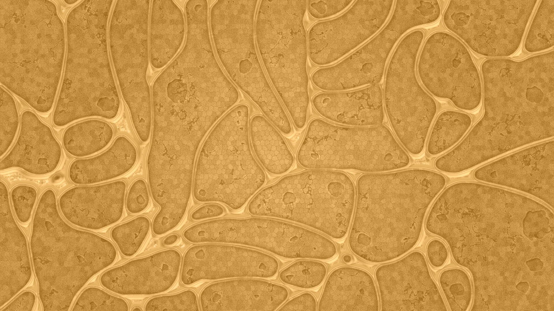 Абстрактные обои обои