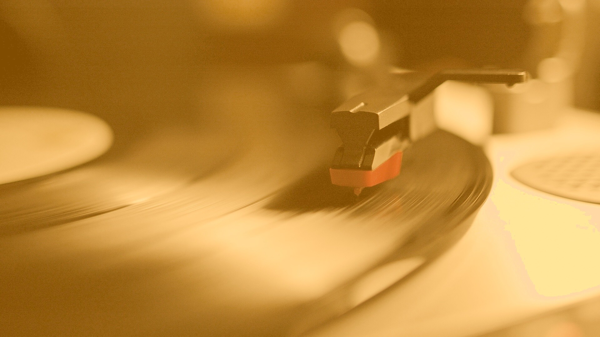 Пластинка обои