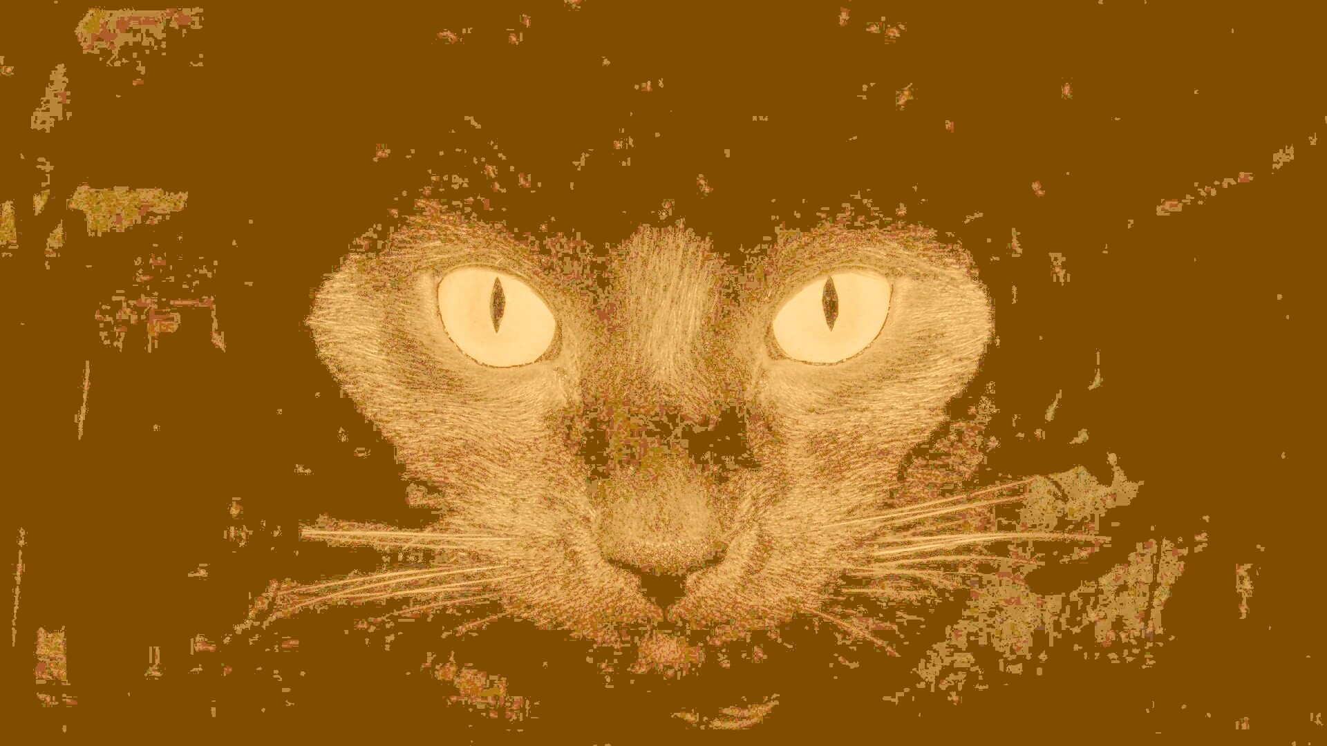 Черный кот обои