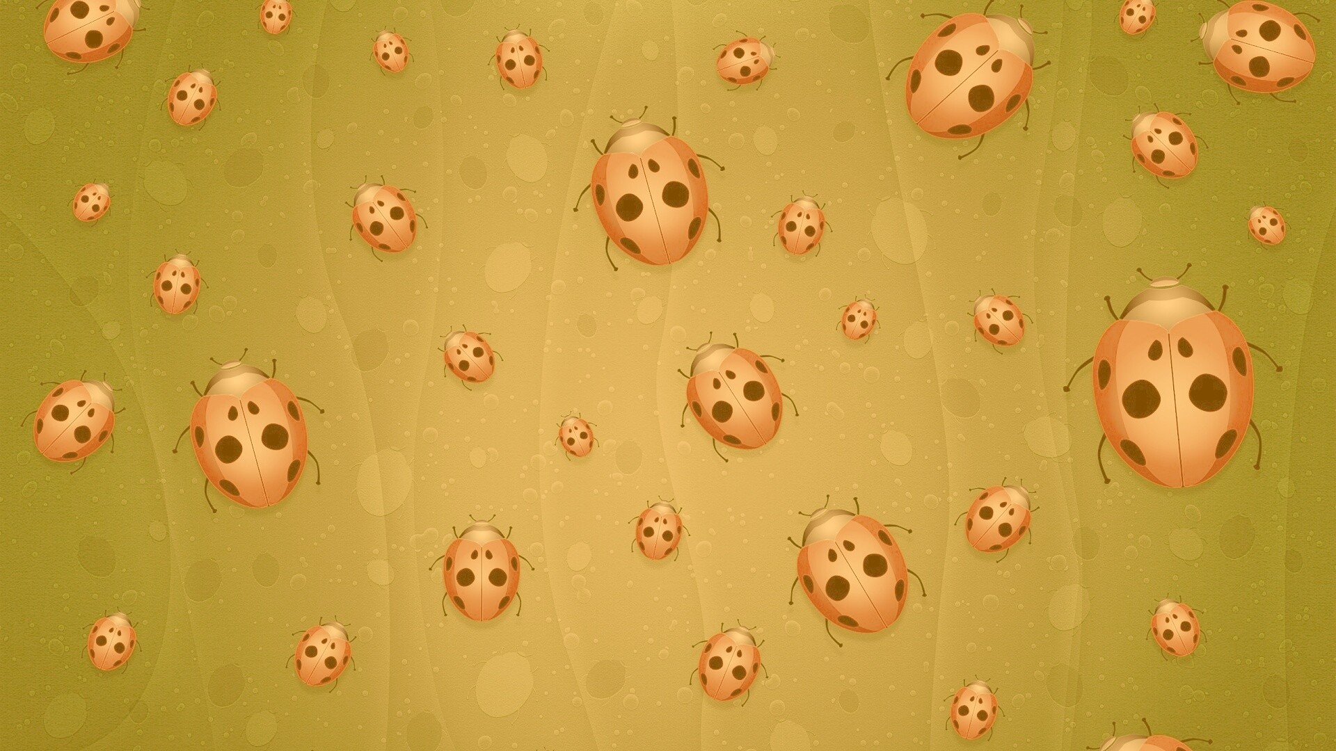 Божьи коровки обои