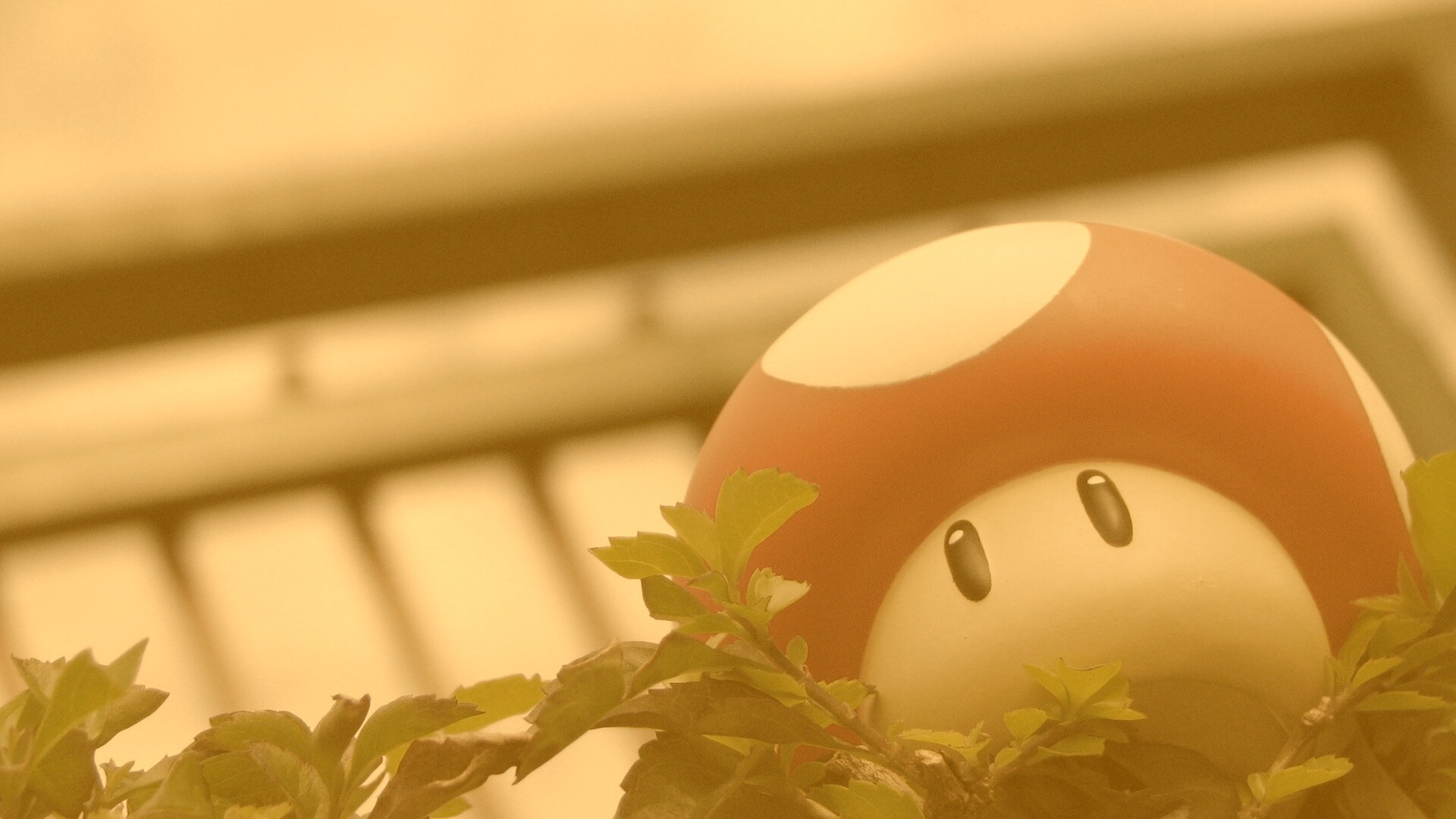 Гриб из Марио обои