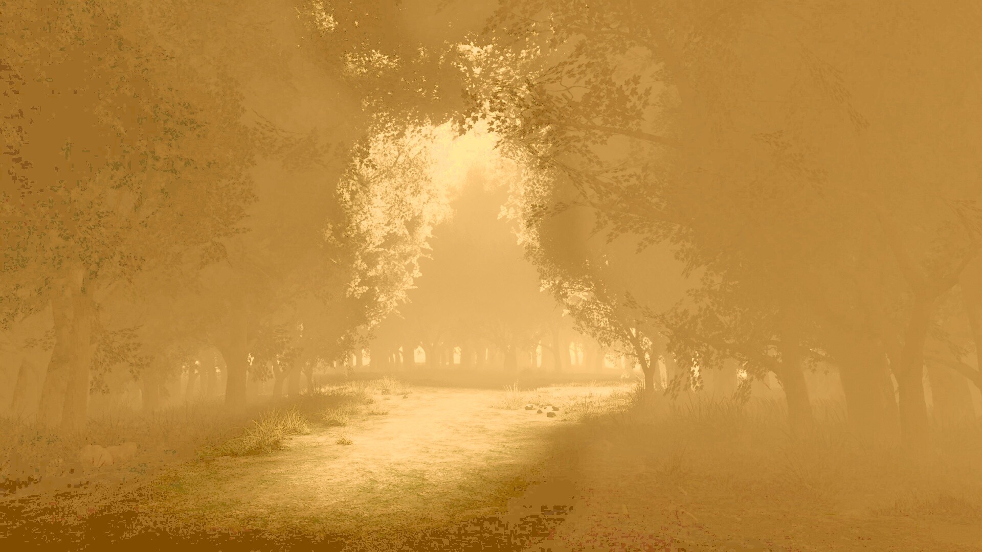 Сумерки в волшебном лесу обои