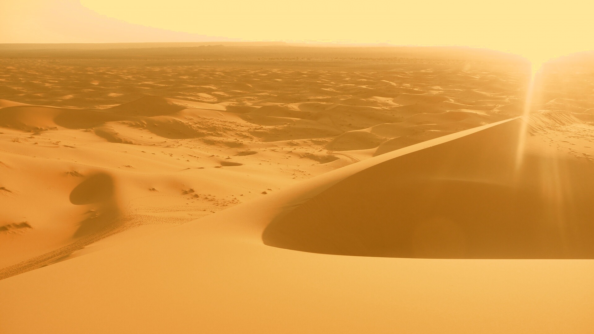 Солнечная пустыня обои