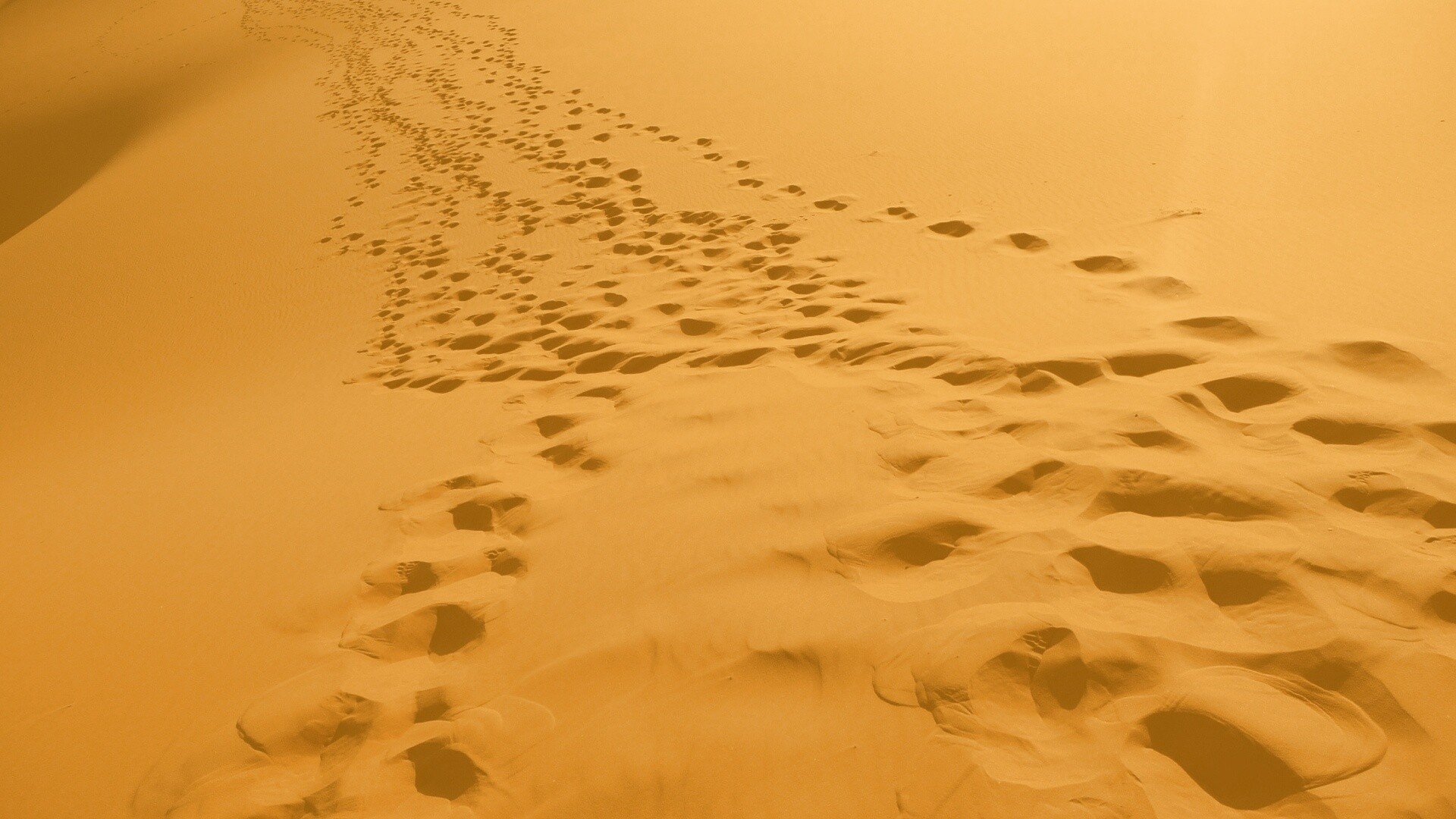 Следы в пустыне обои