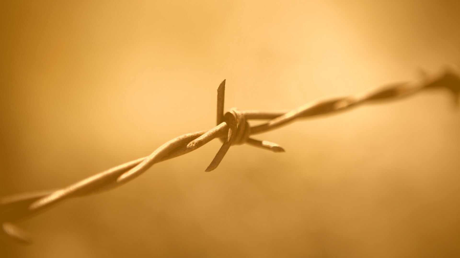 Фото колючей проволоки обои