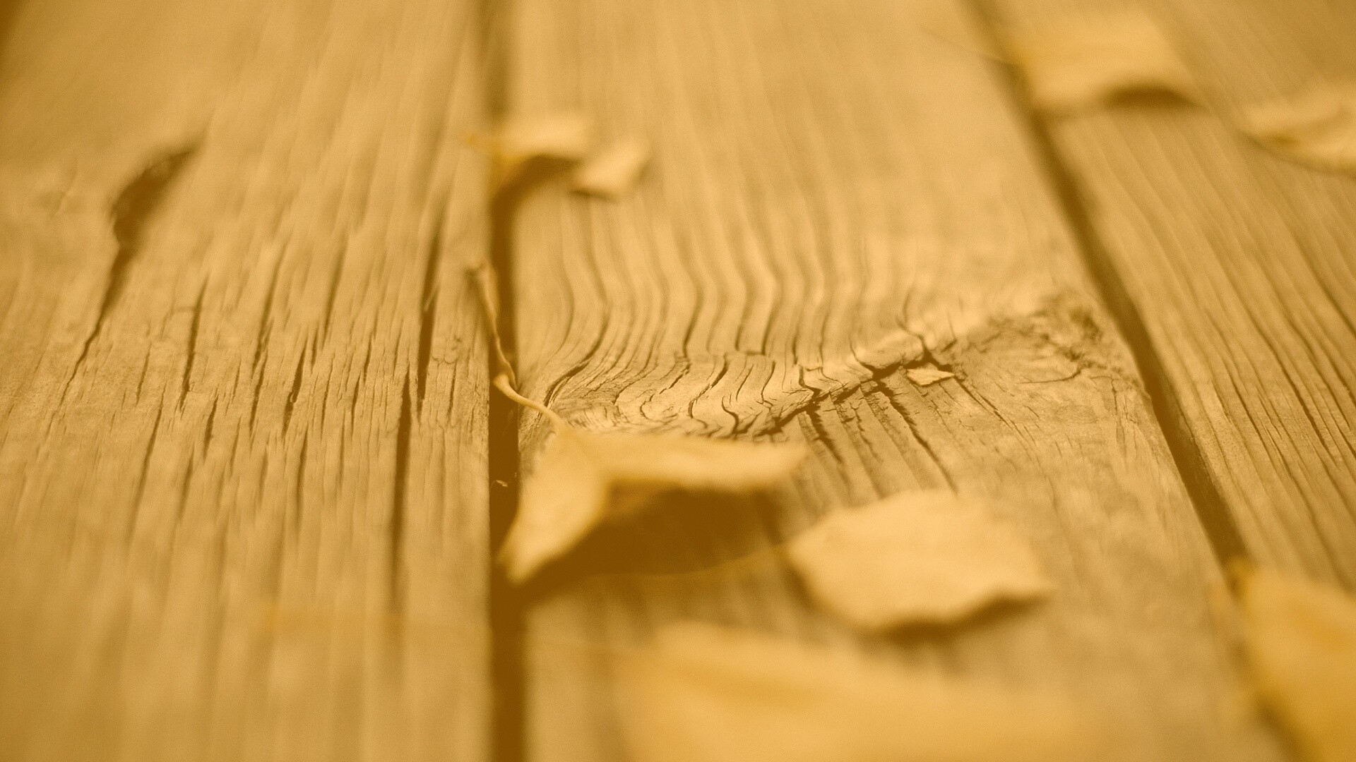 Листья на дощатом полу обои