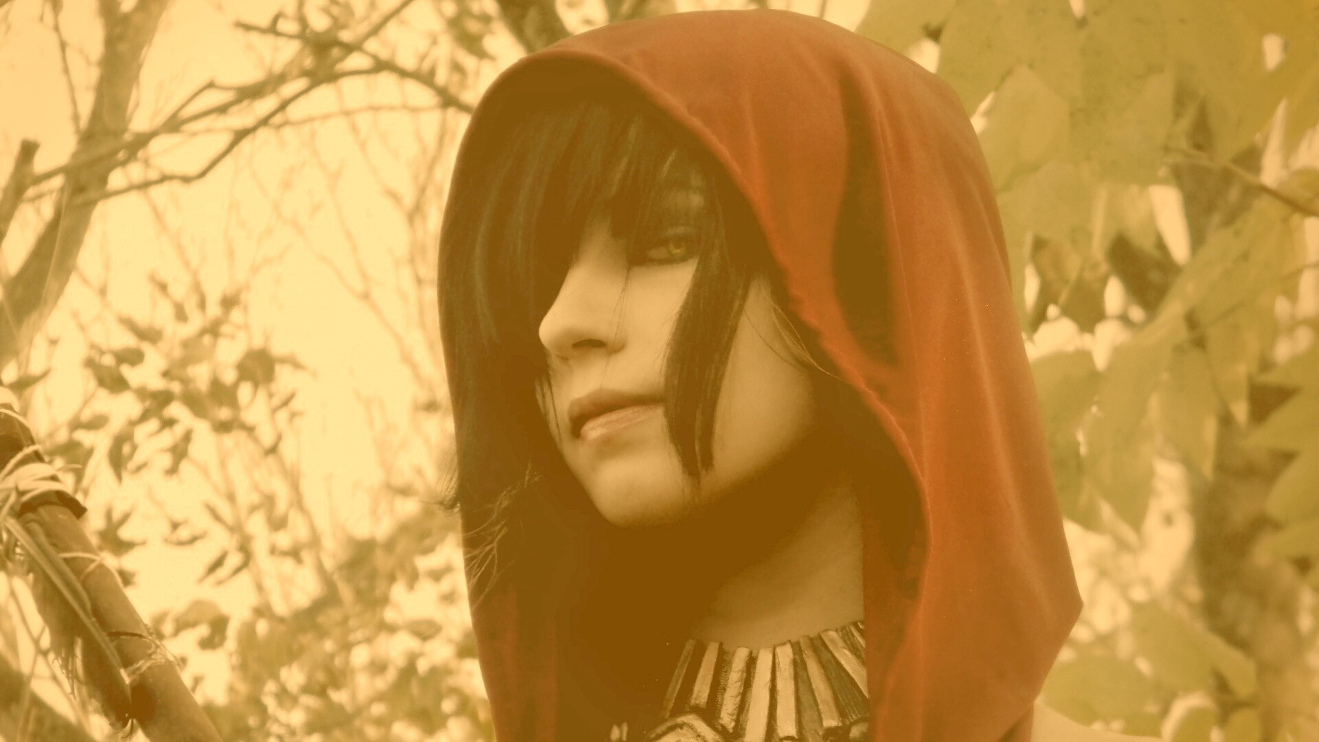 Косплей Морриган обои