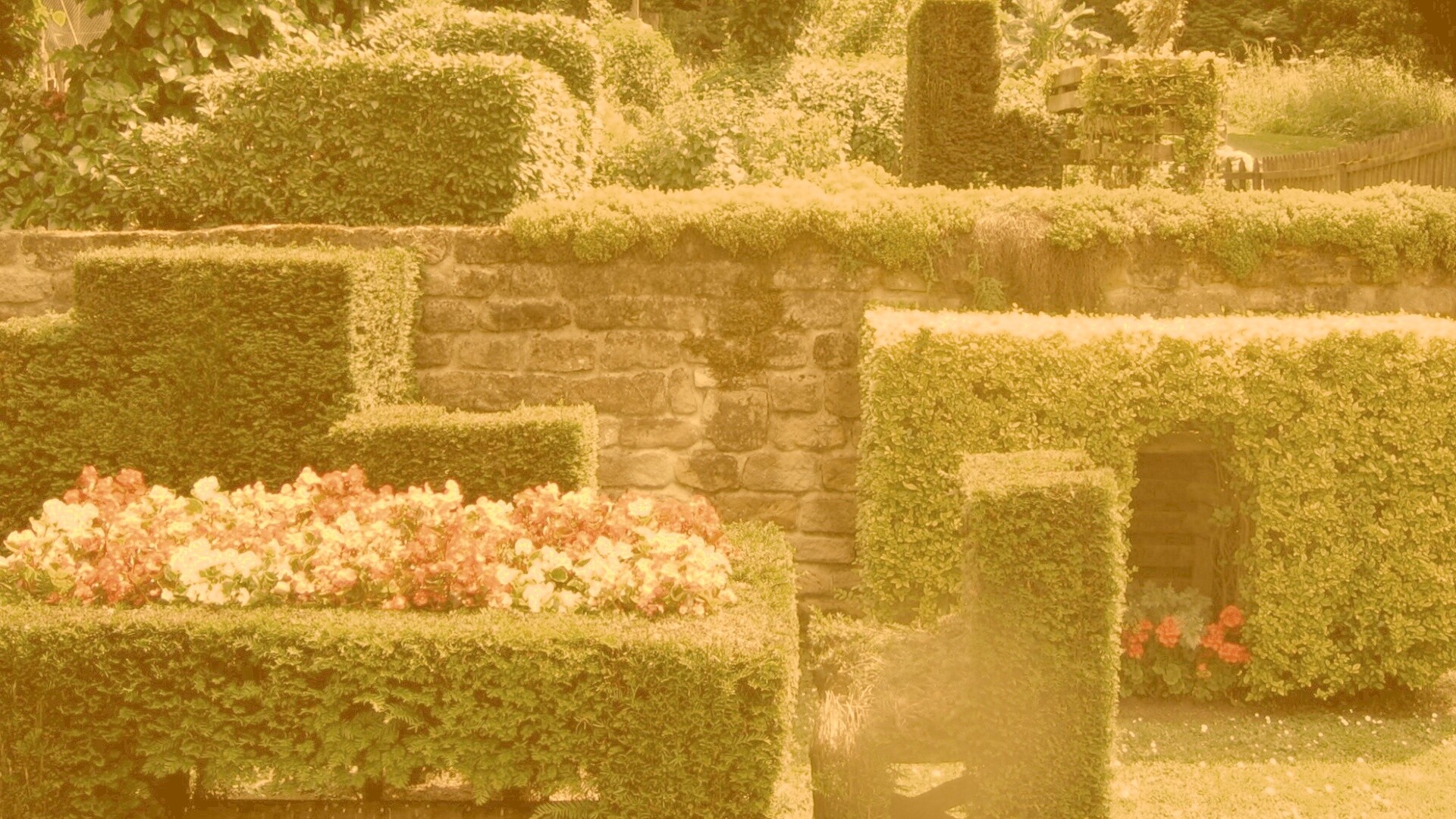 Декоративный сад обои