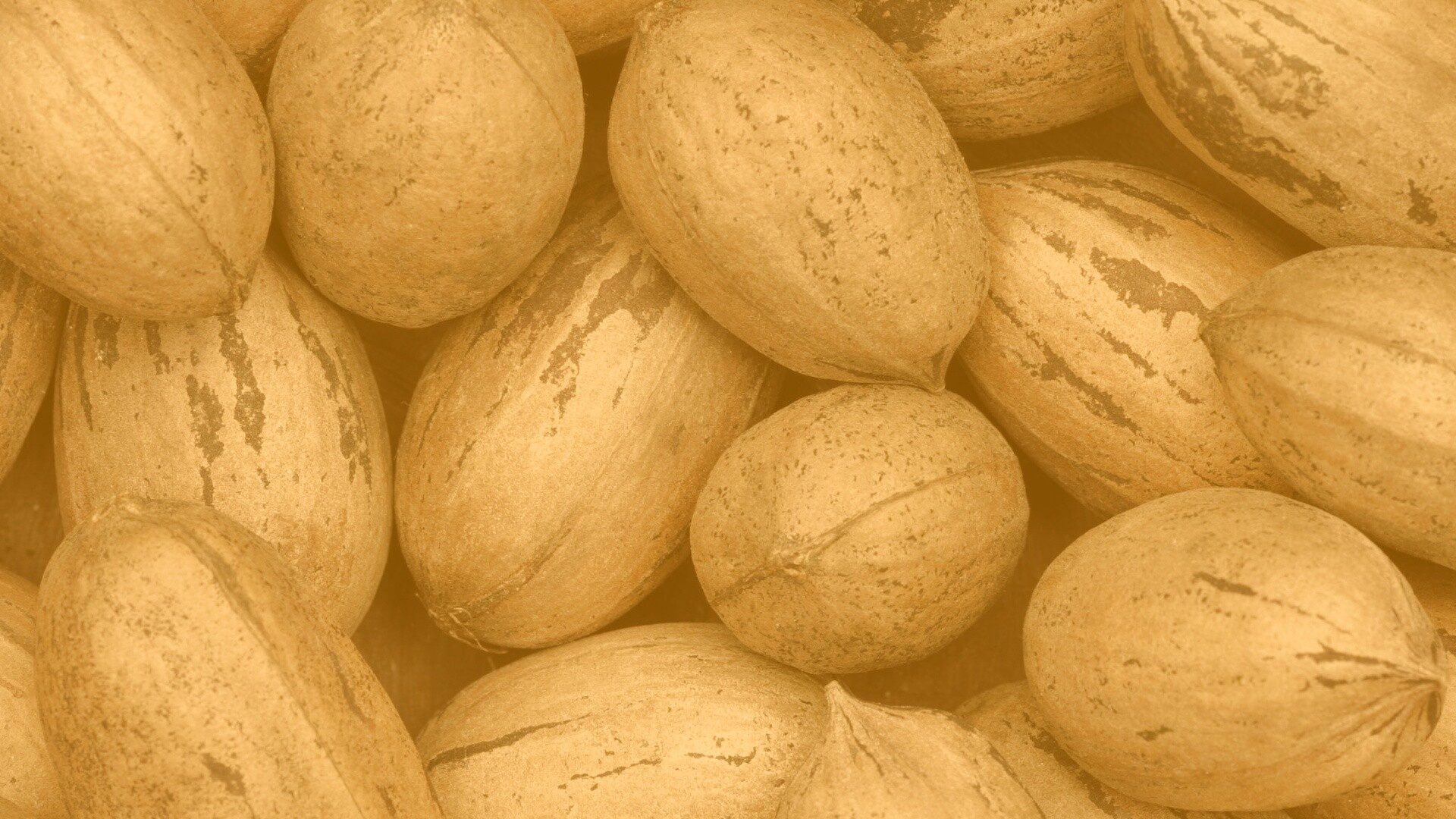 Грецкие орехи обои