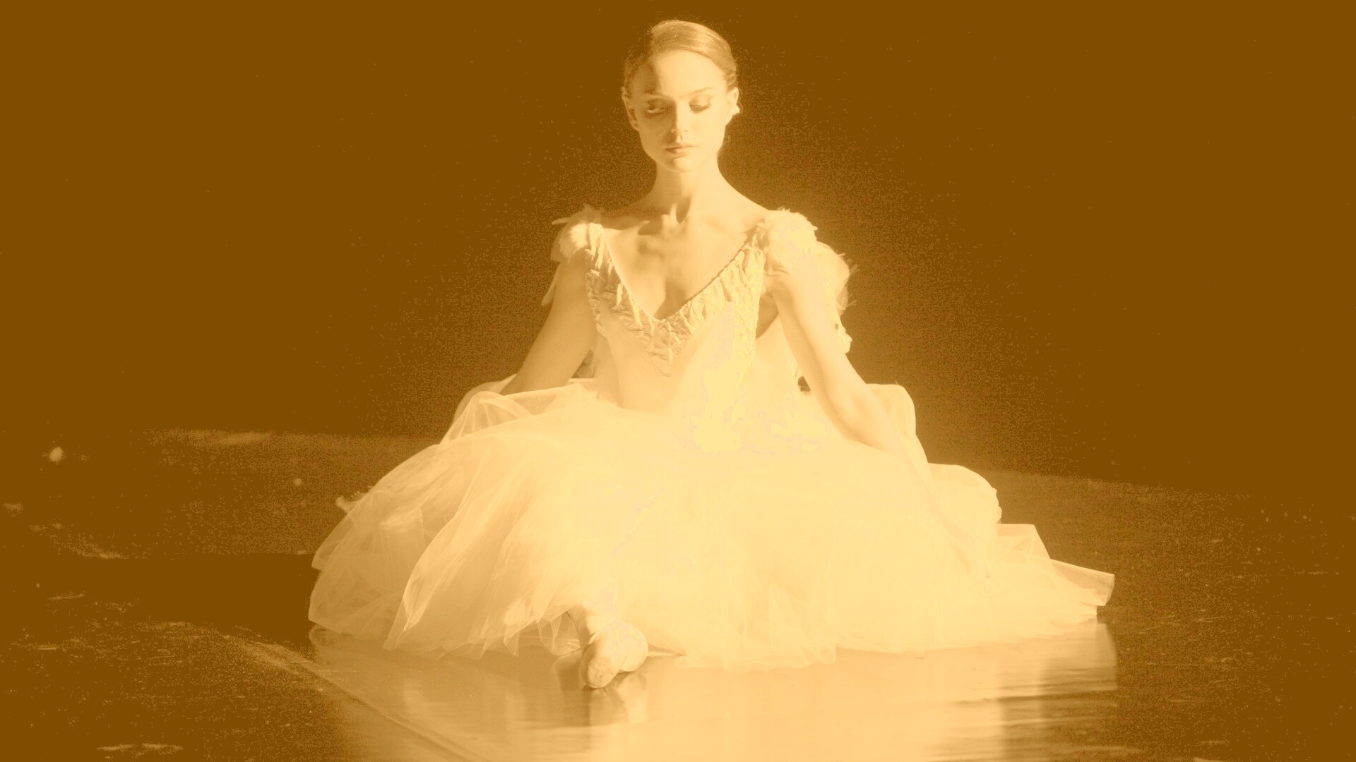 Черный лебедь обои