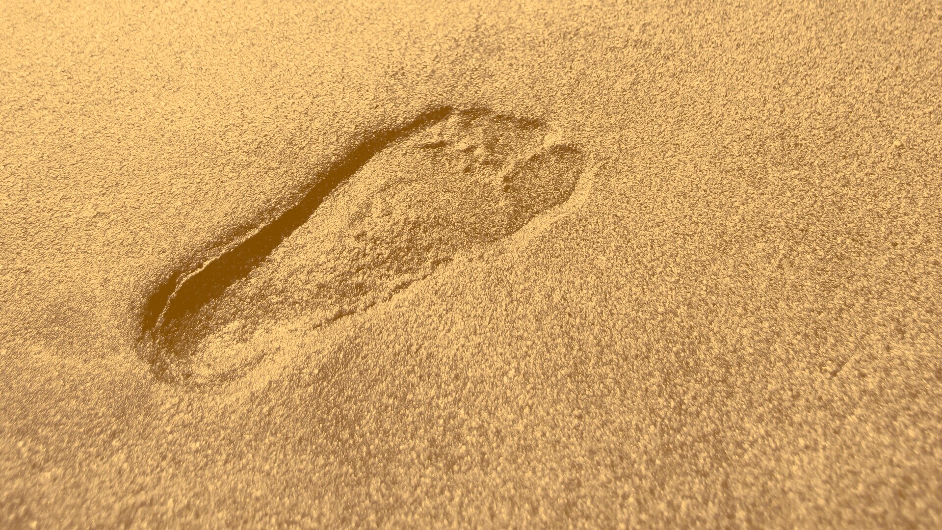 Отпечаток ноги обои