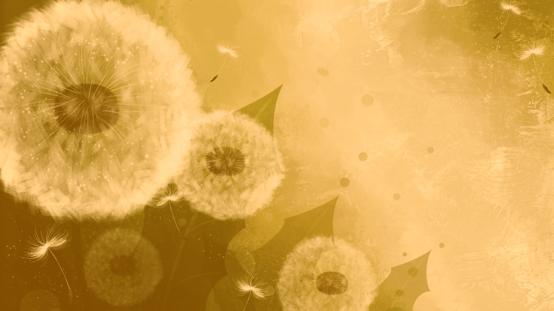 Одуванчики обои