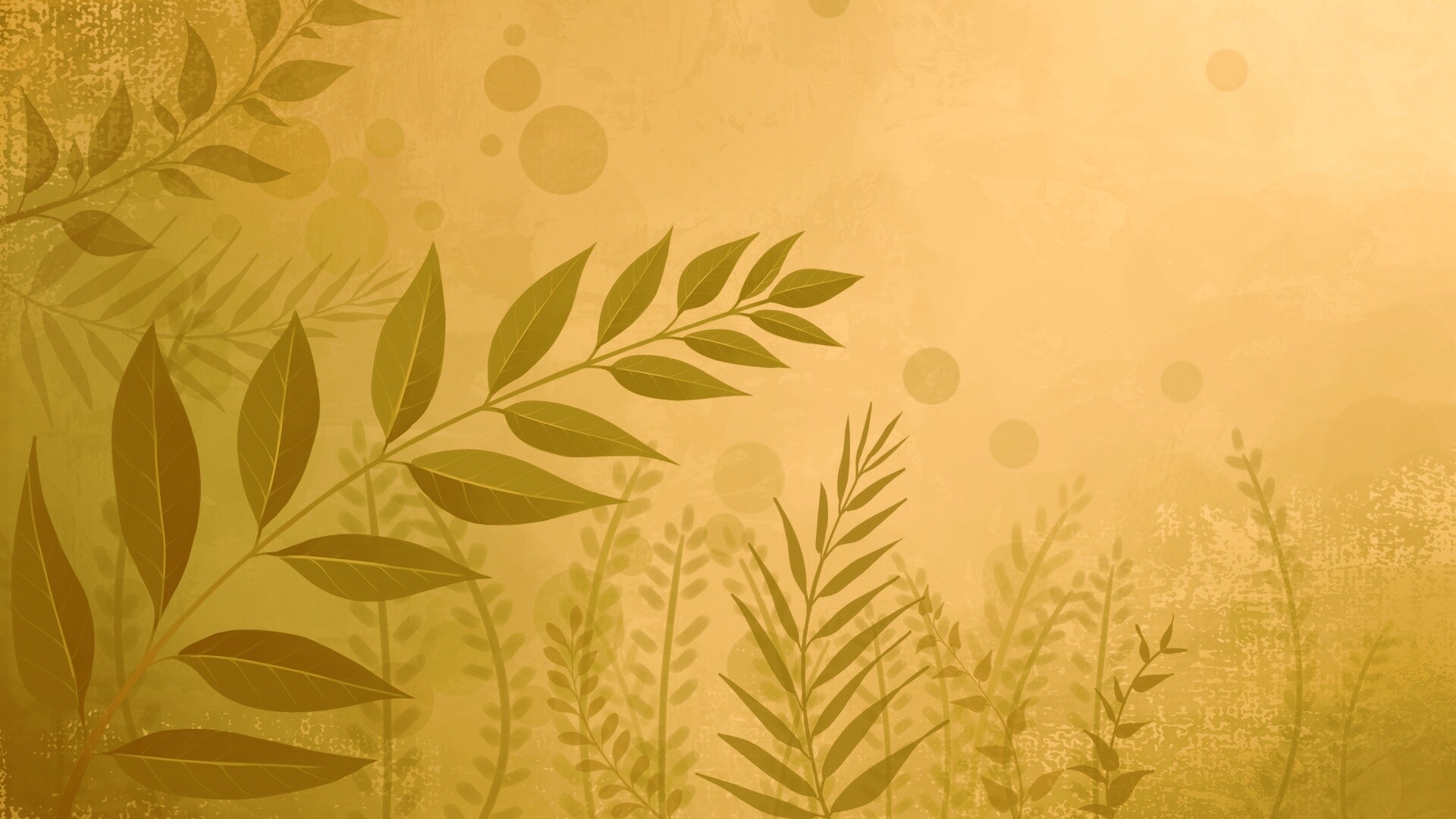 Веточка молодых листьев обои