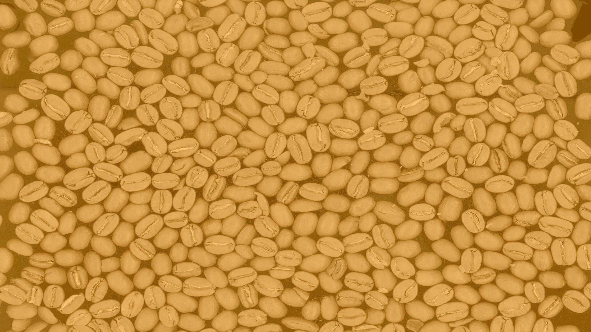 Зерна кофе обои
