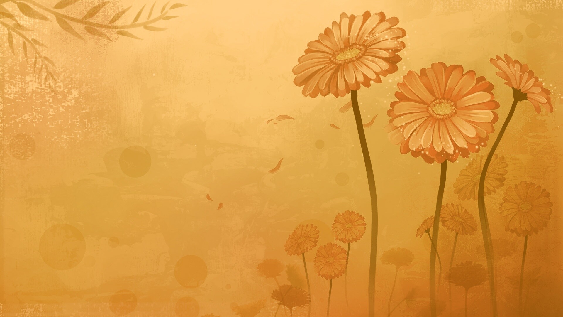 Векторные ромашки обои