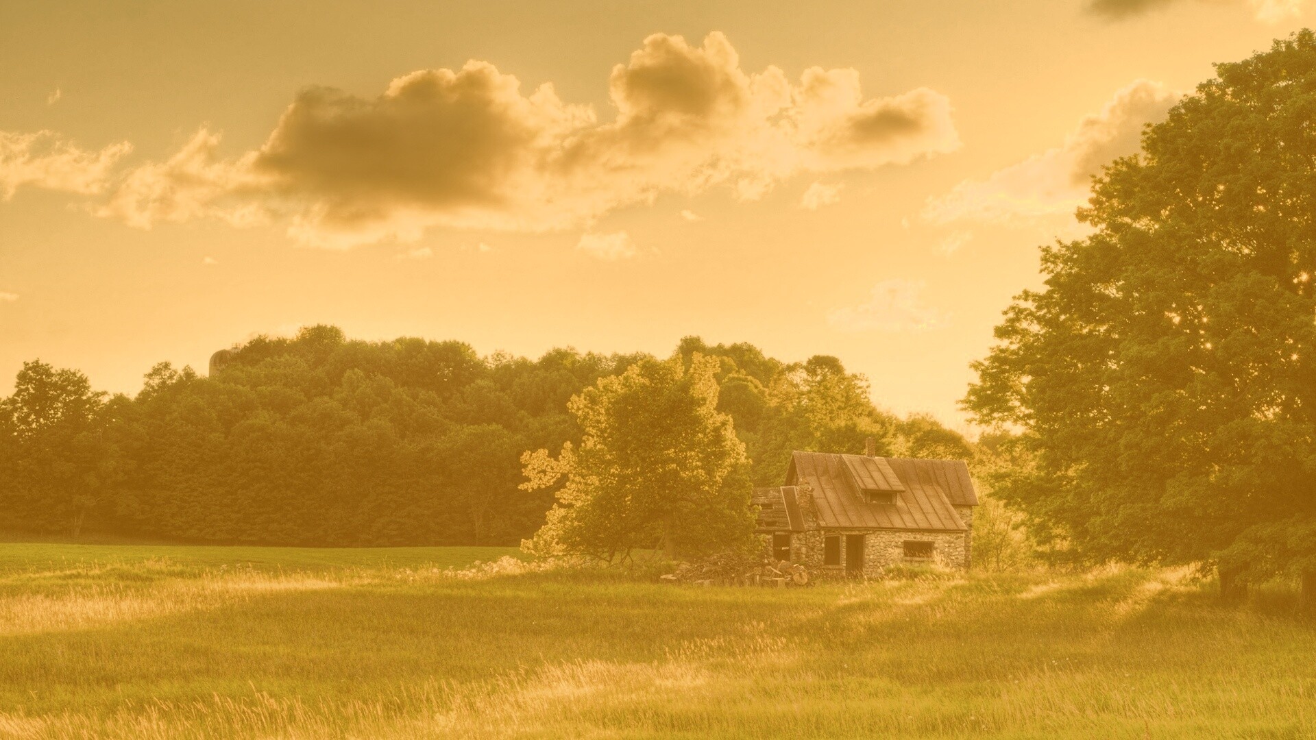 Домик в лесу обои