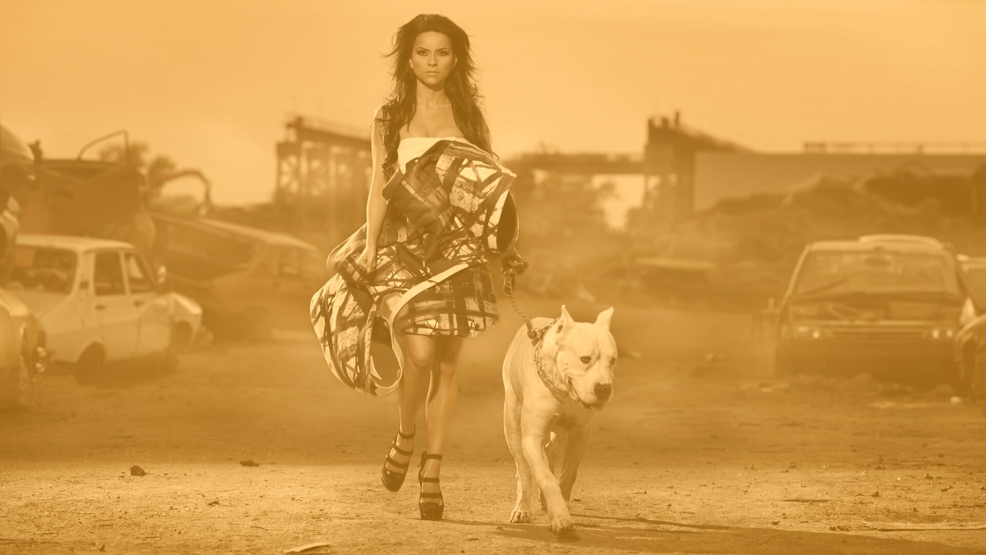 Девушка с питбулем обои