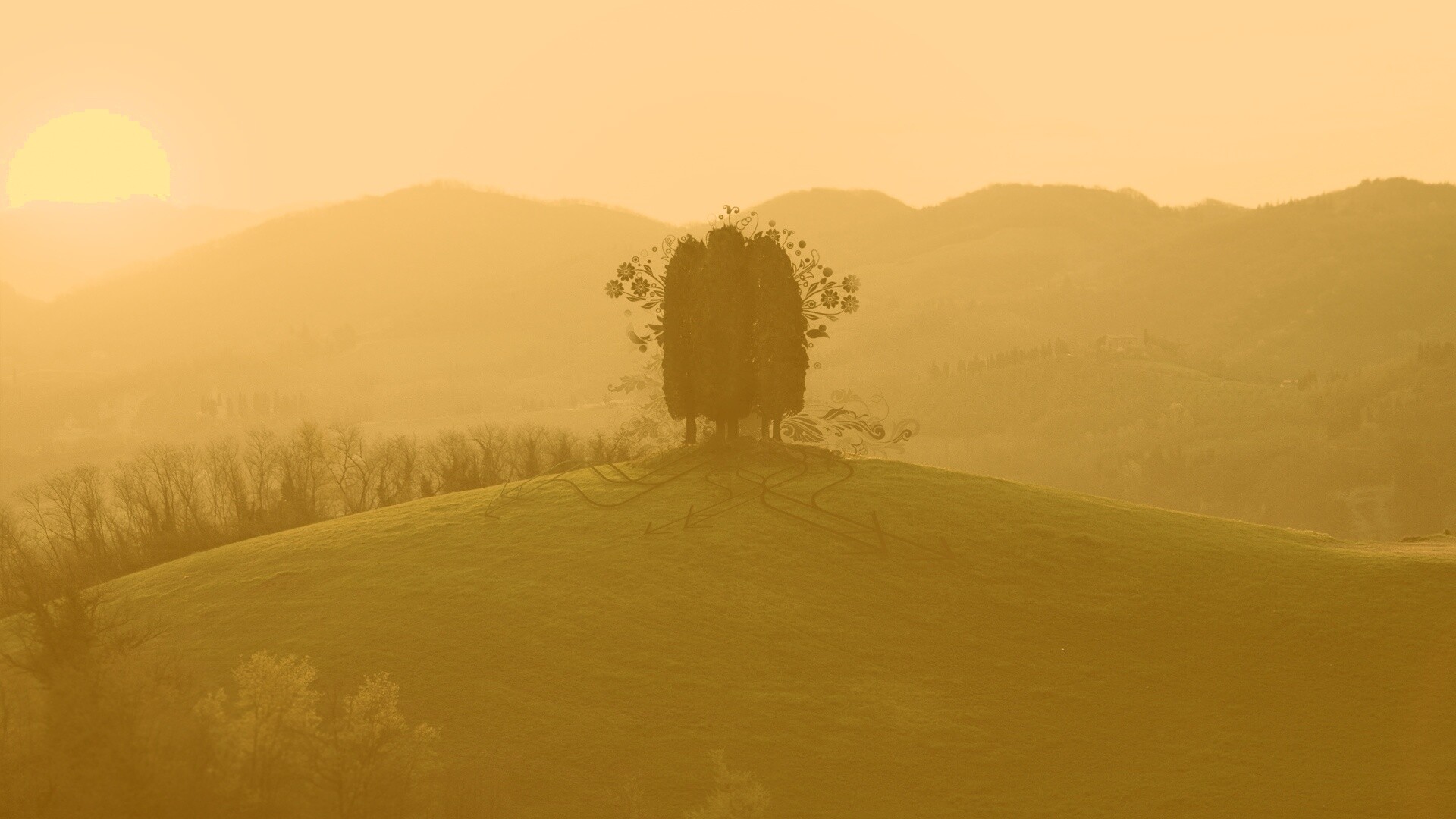 Деревья на холме обои