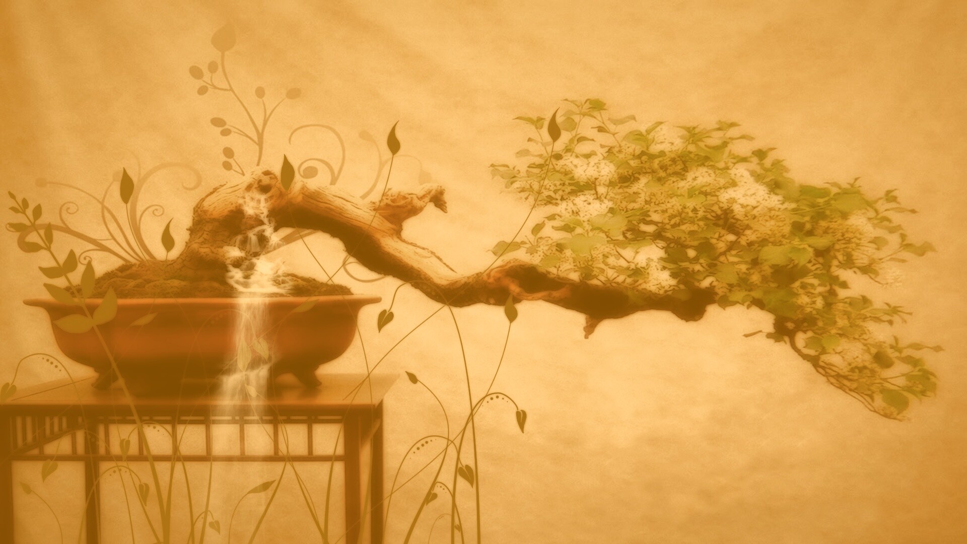 Карликовое дерево обои