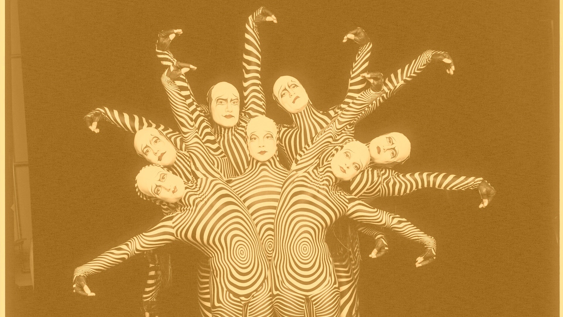 Зеброиды (актеры цирка дю солей) обои