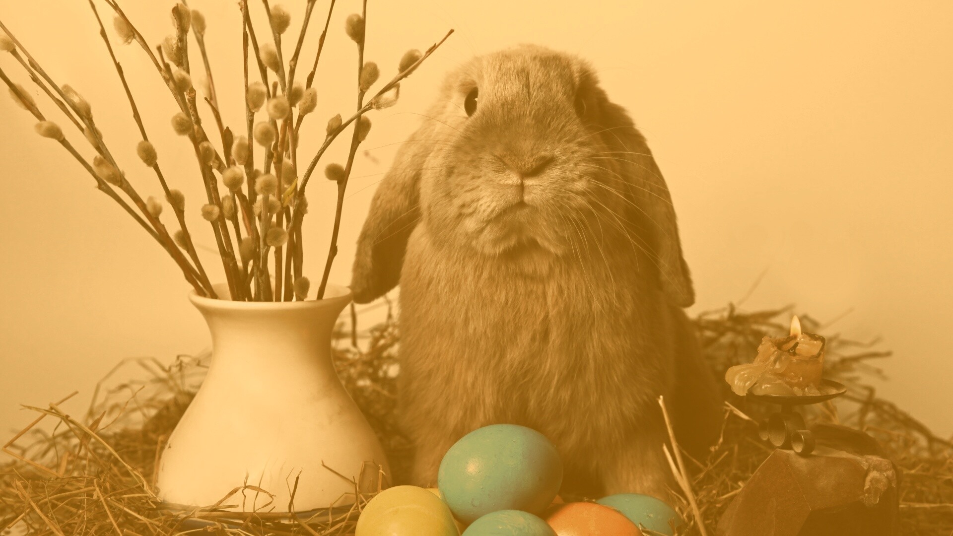 Пасхальный кролик обои