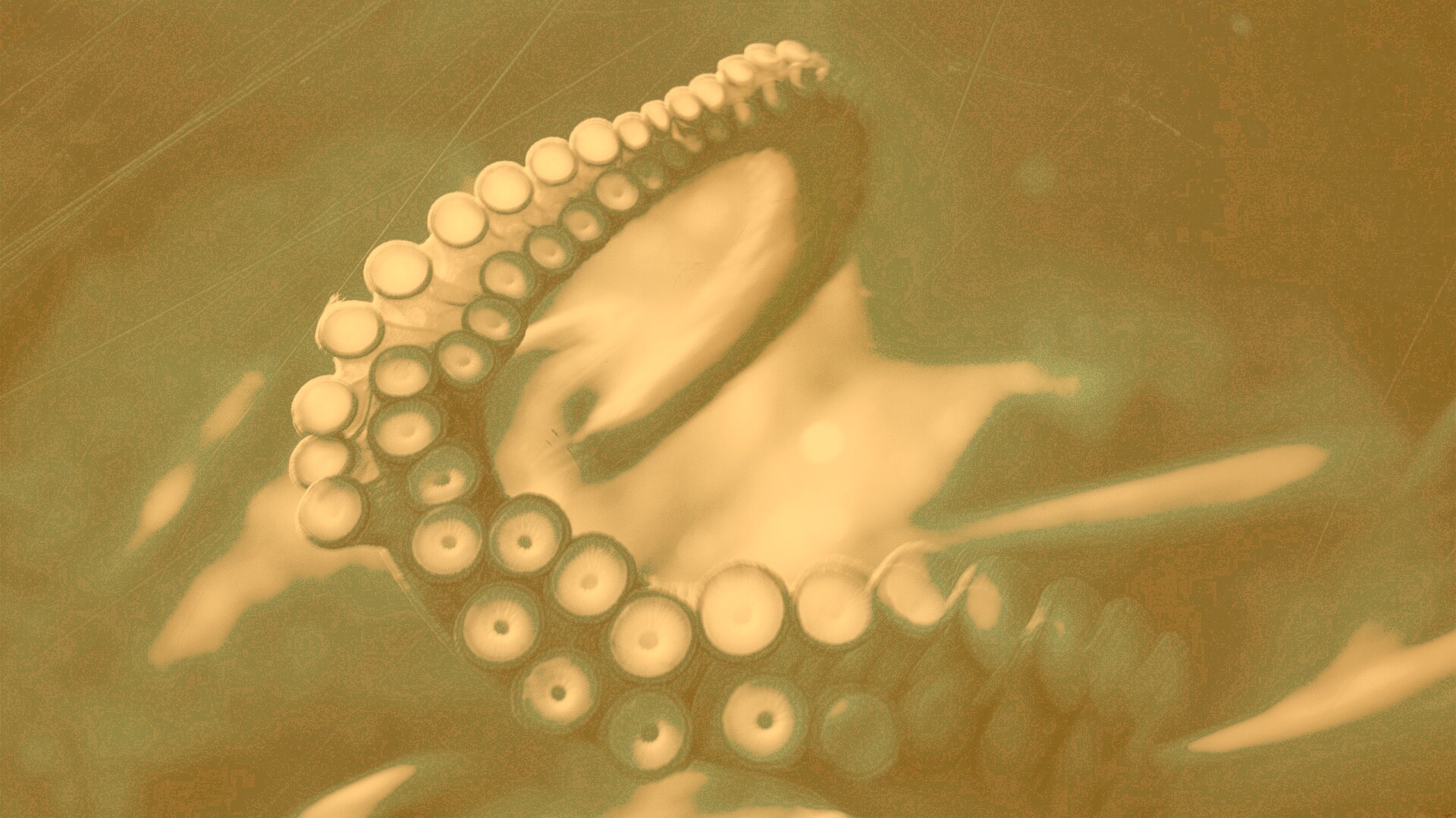 Щупальце обои