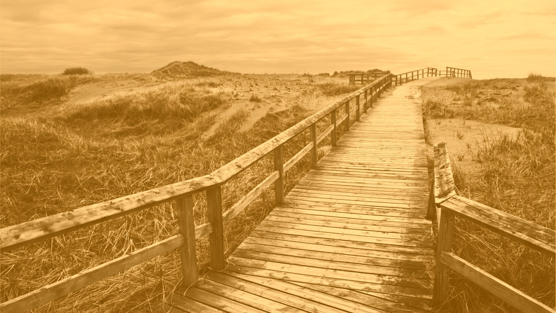 Деревянная дорога обои