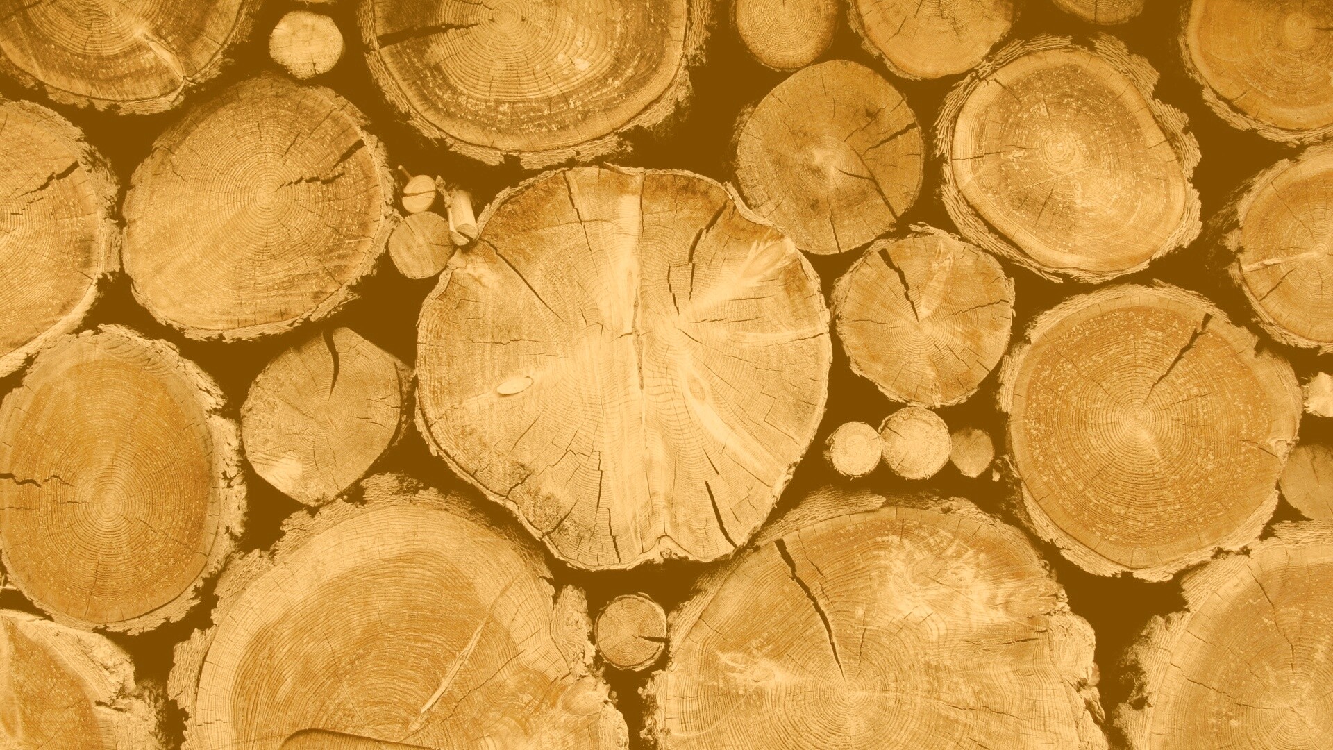 Древесный спил обои