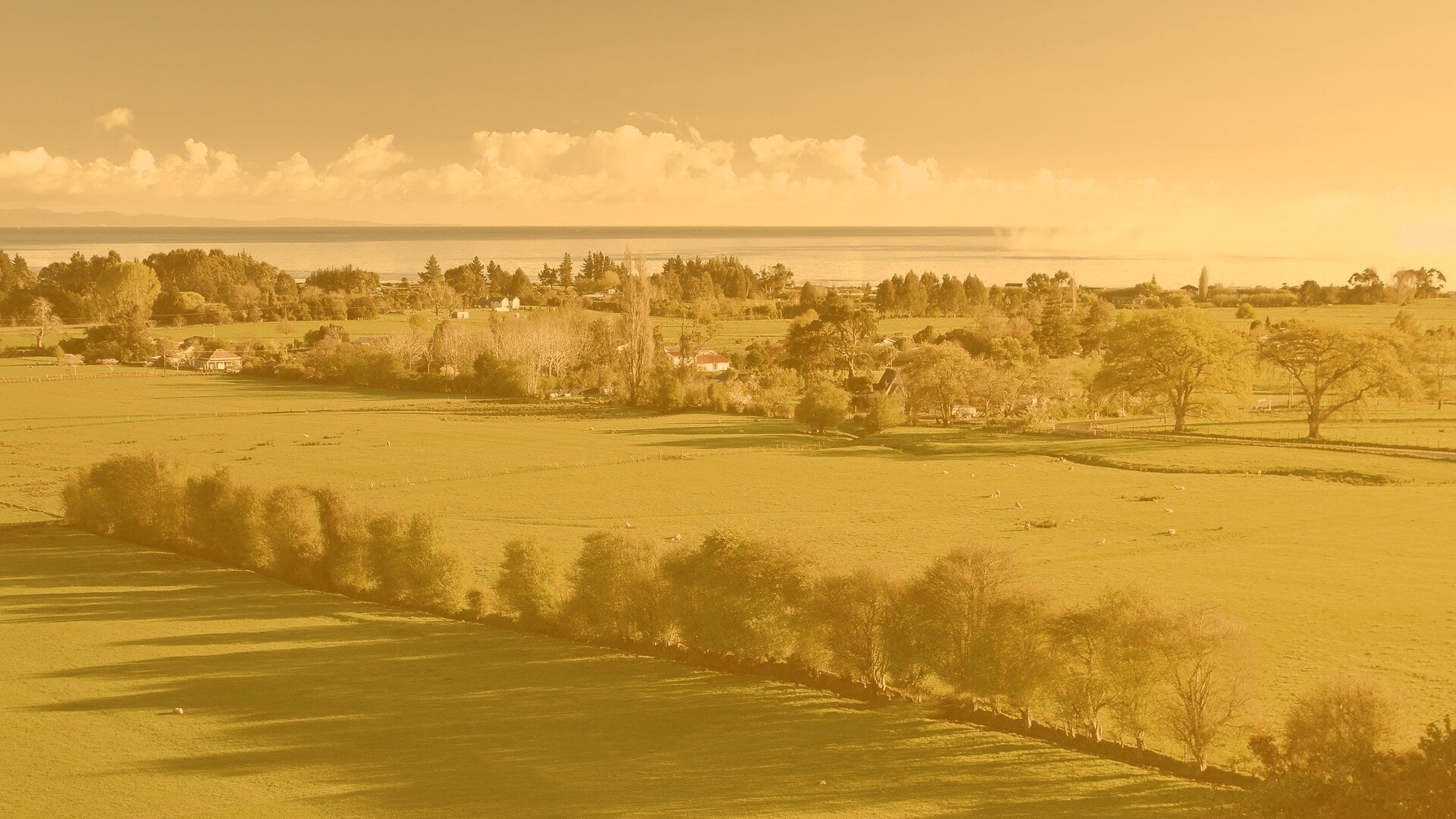 Сельская природа обои