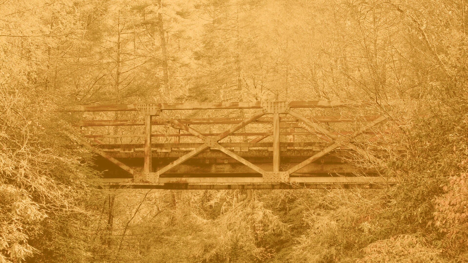 Металлический мост в лесной глуши обои