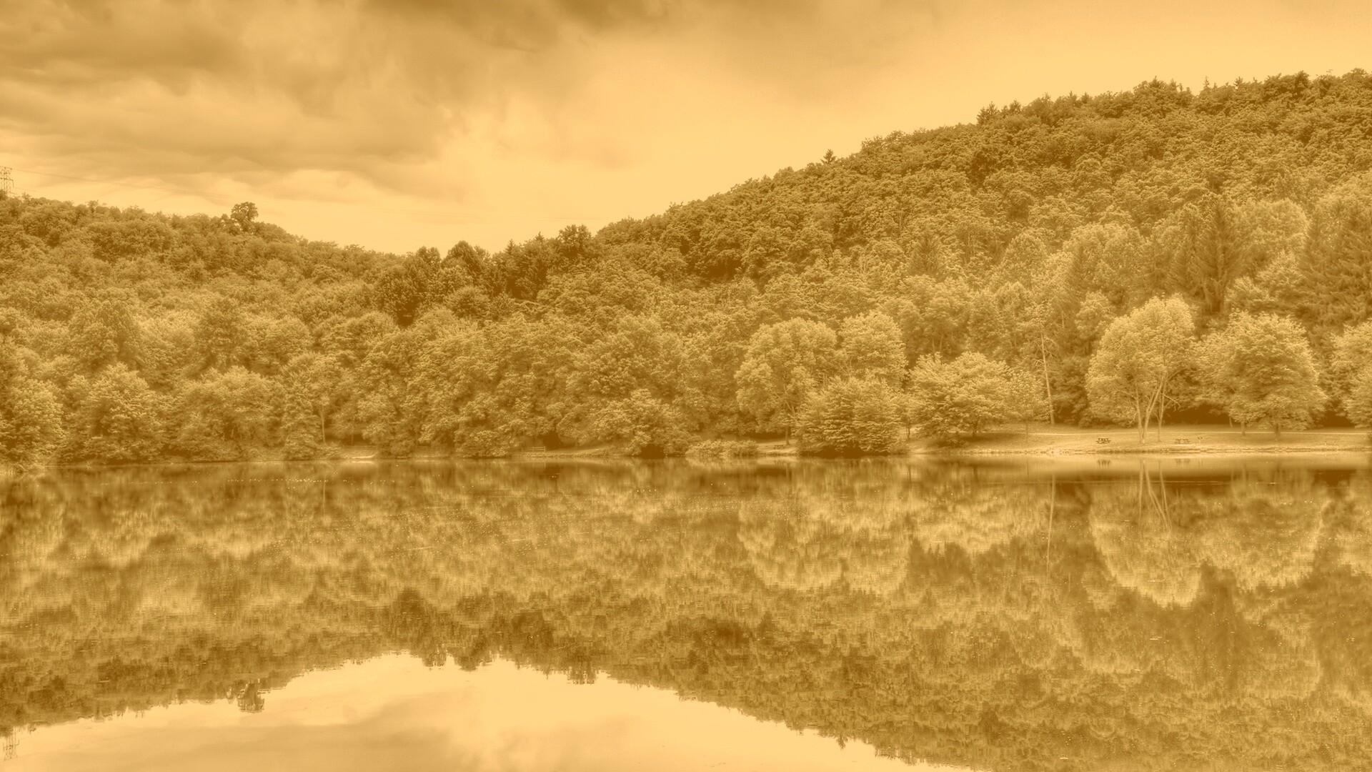 Лесной берег обои