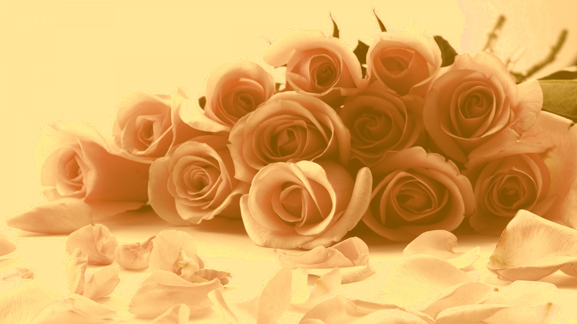 Букет роз обои