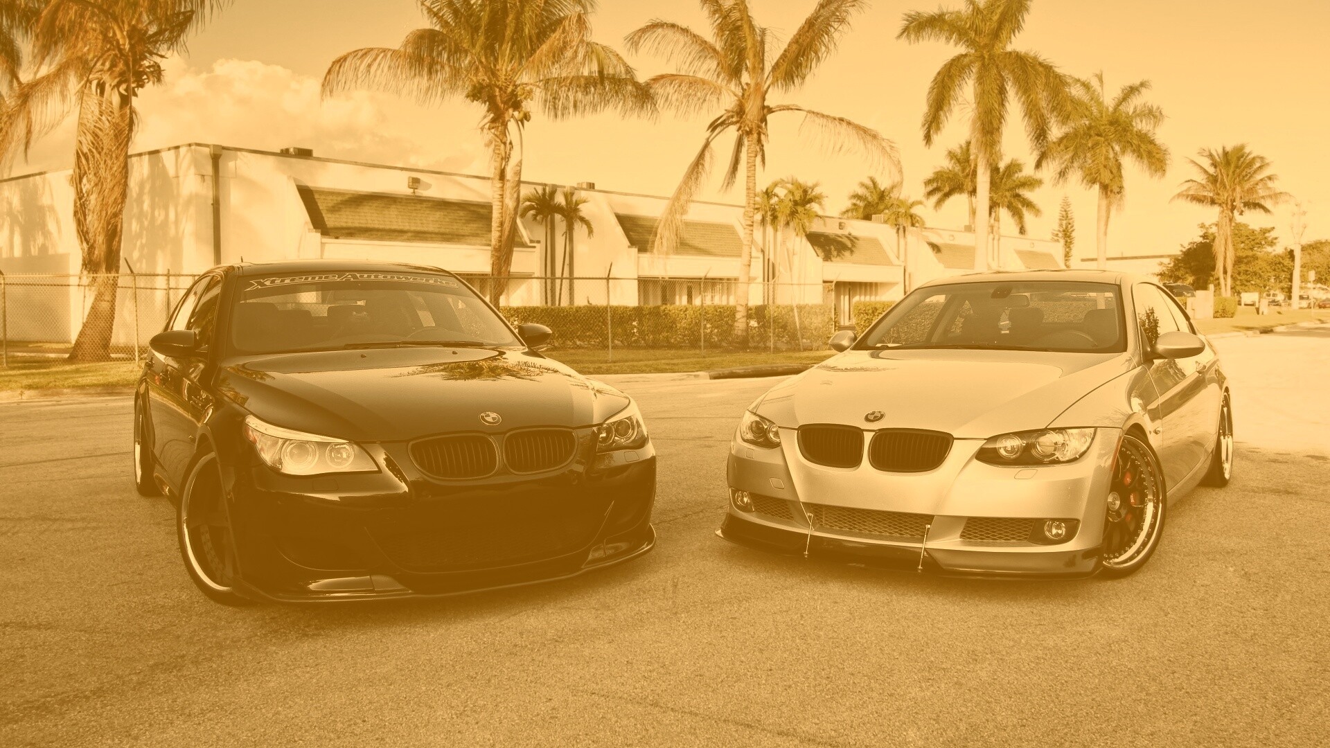 Две БМВ обои