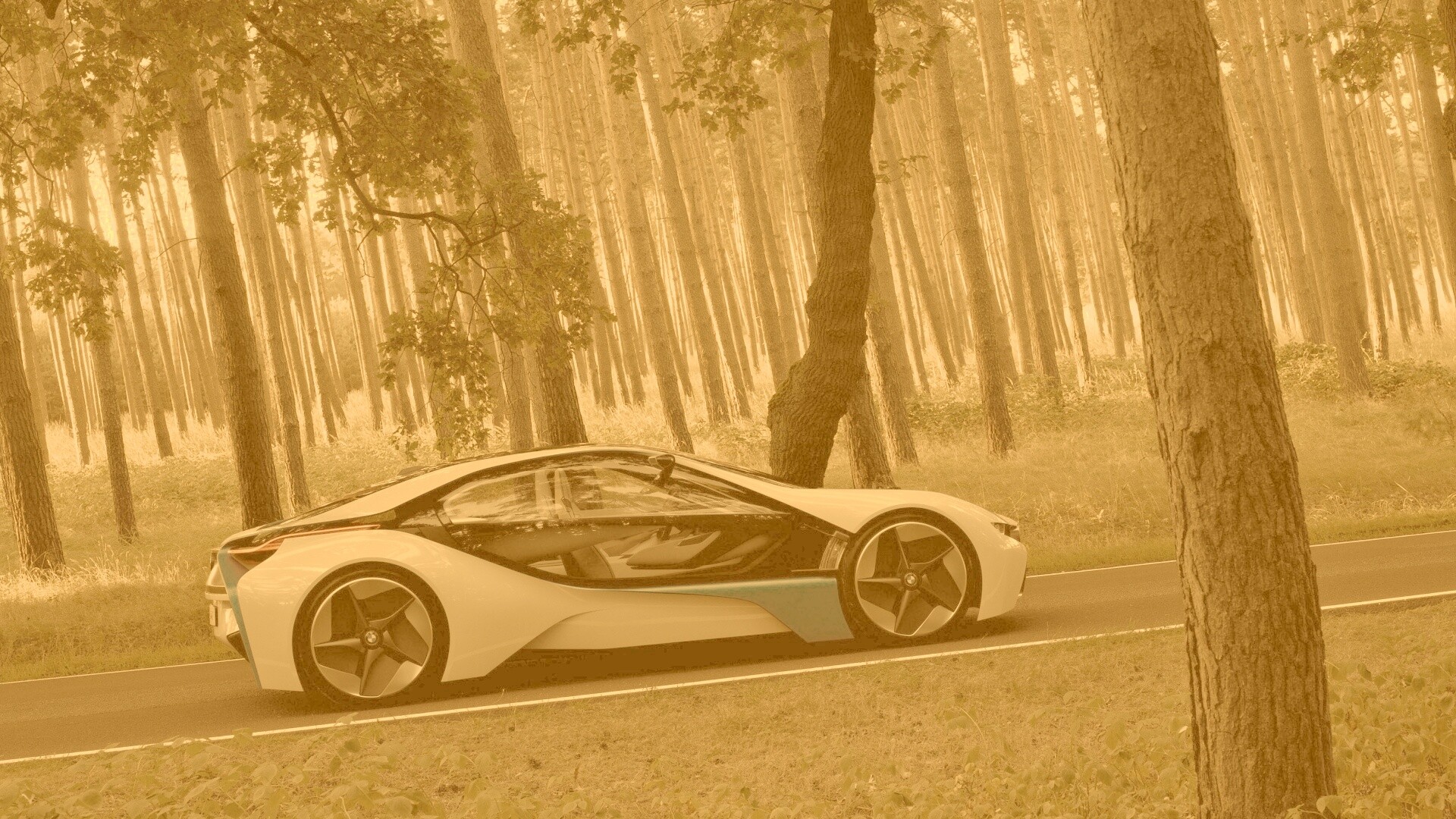 Спорткар BMW на лесной дороге обои