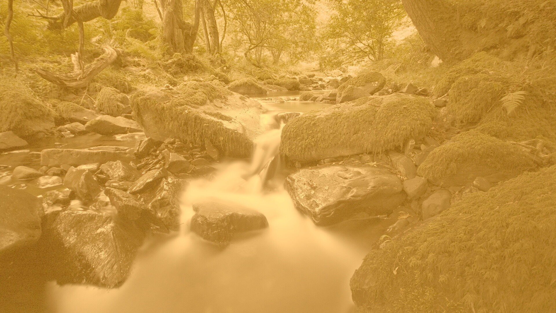 Речной поток в лесу обои