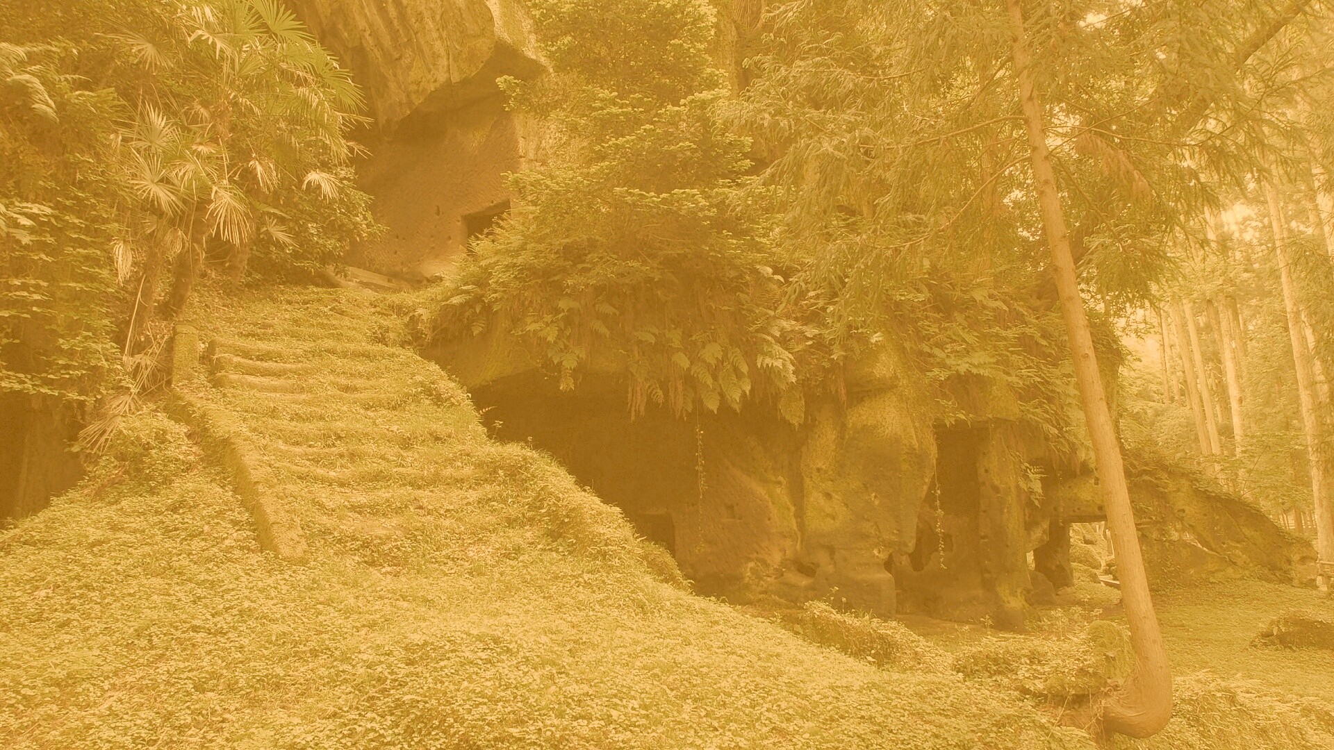 Старинный лесной храм обои