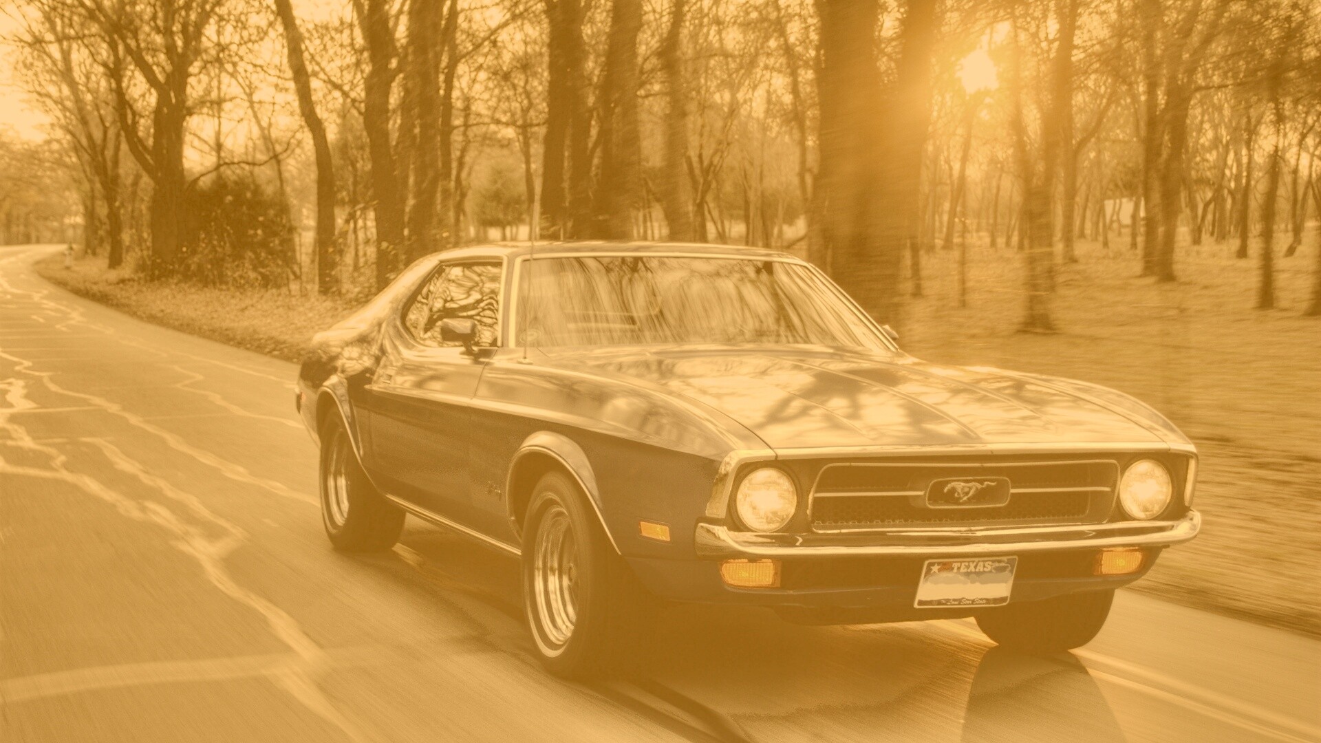 Мустанг обои