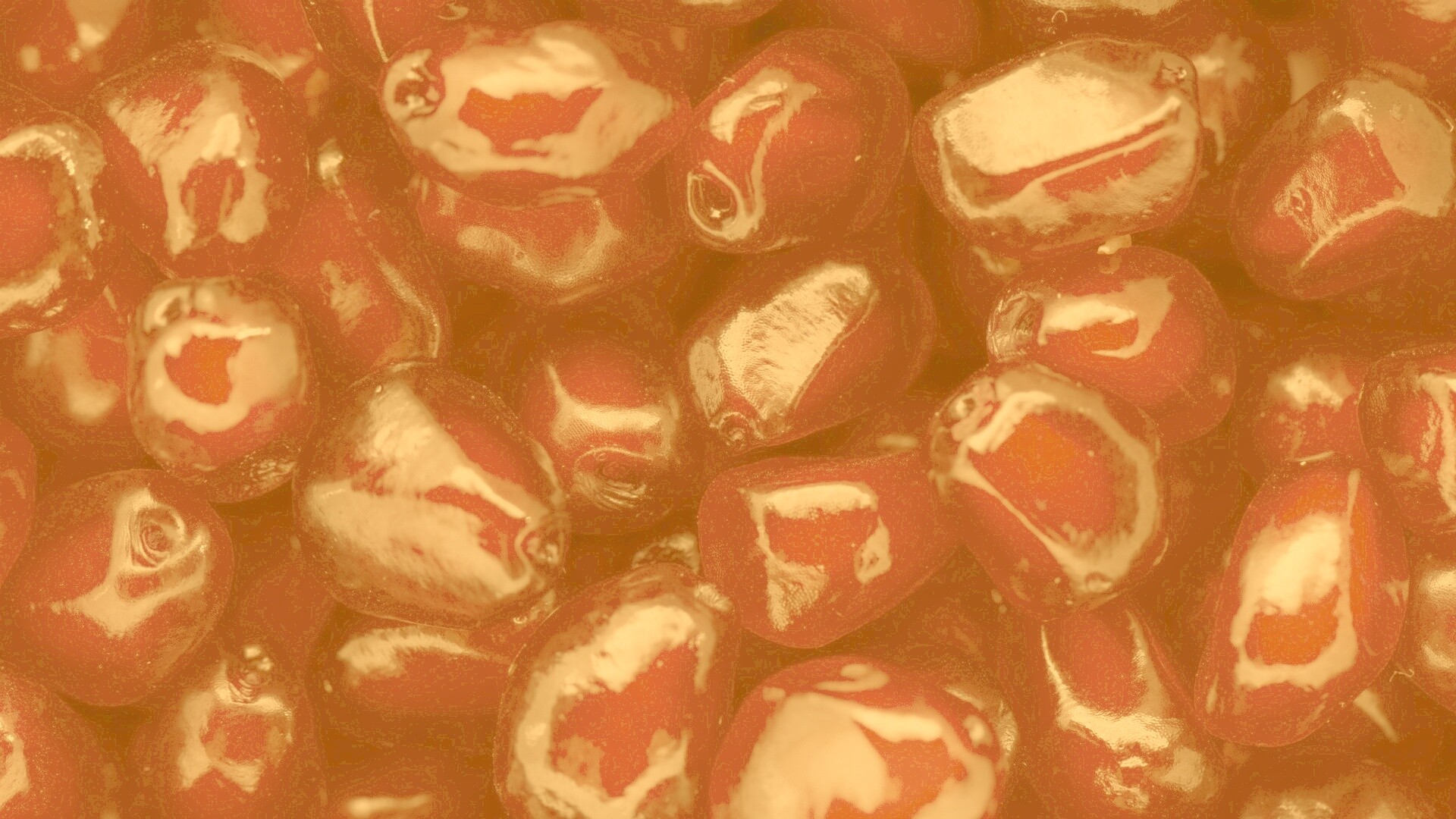 Ядра граната обои